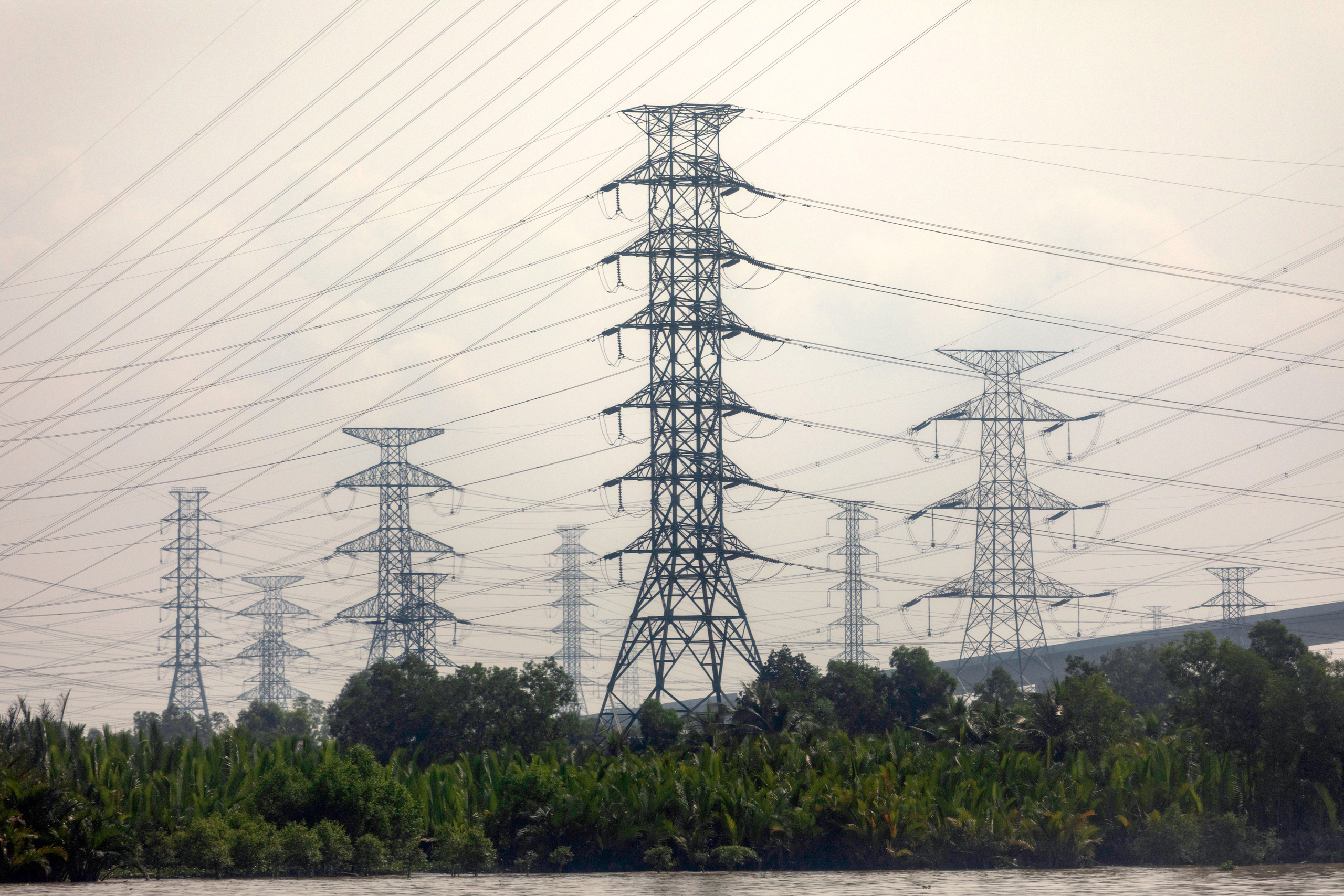 <p>High-voltage power lines in rural Vietnam (Image: Nguyễn Thanh Phong / Alamy)</p>