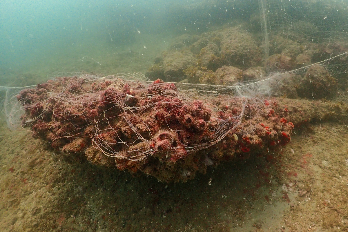 discarded net over coral in murky water