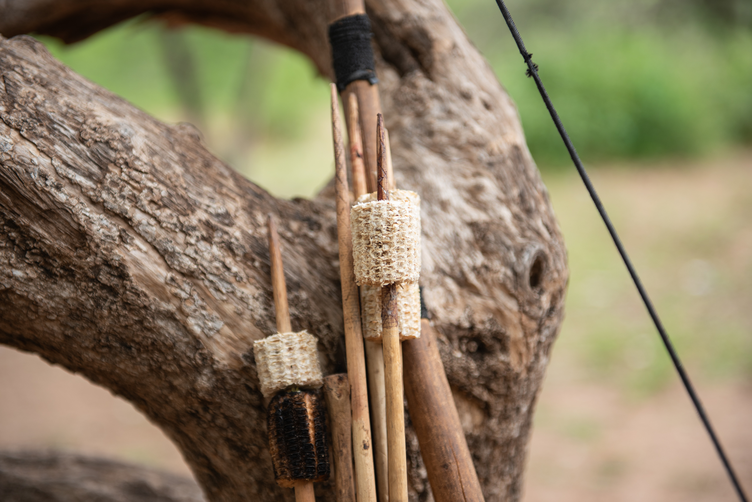 Close-up of handmade arrows with wooden shafts and natural fletching leaning against rough tree