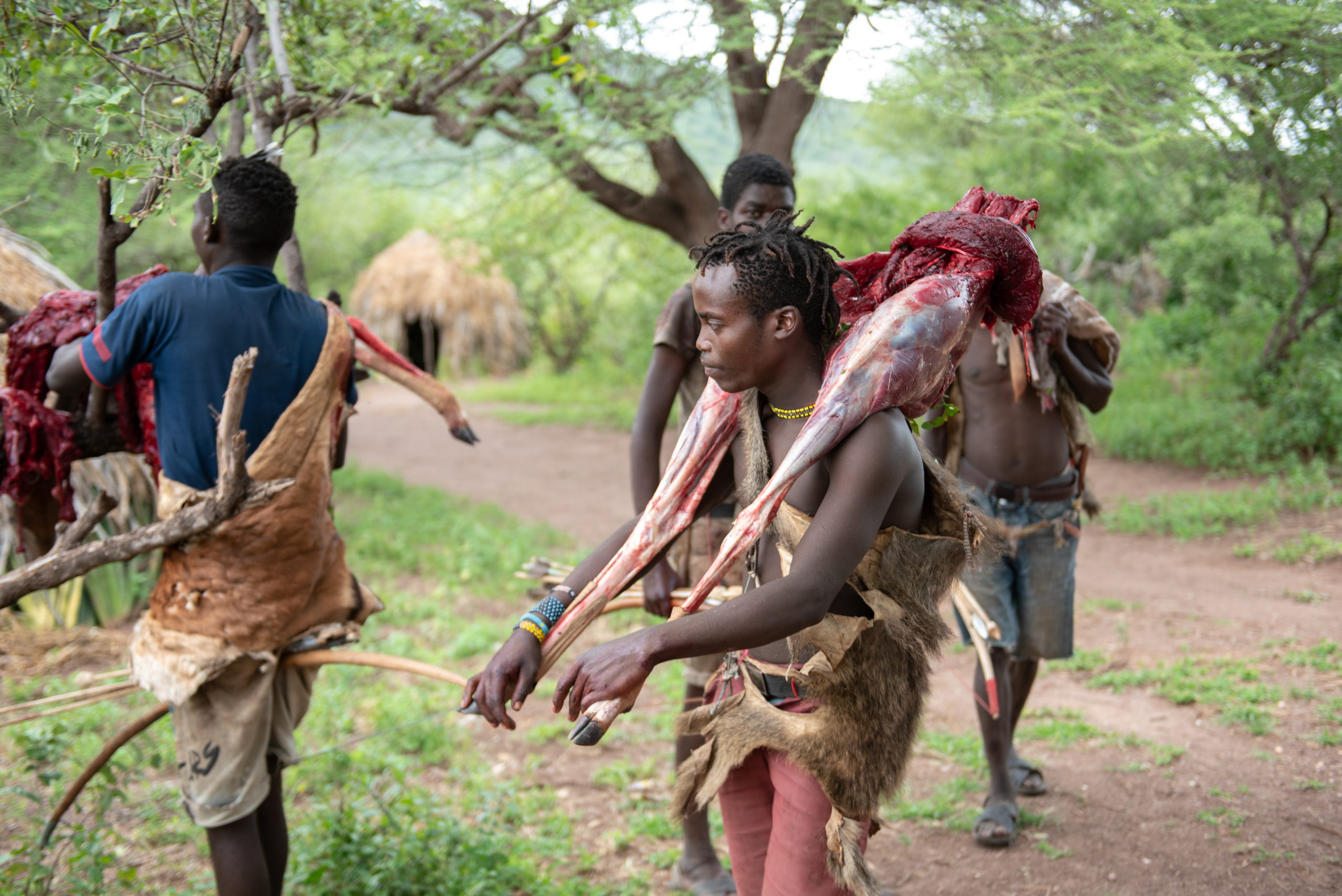 A group of people carry fresh game meat on their shoulders in a green forest