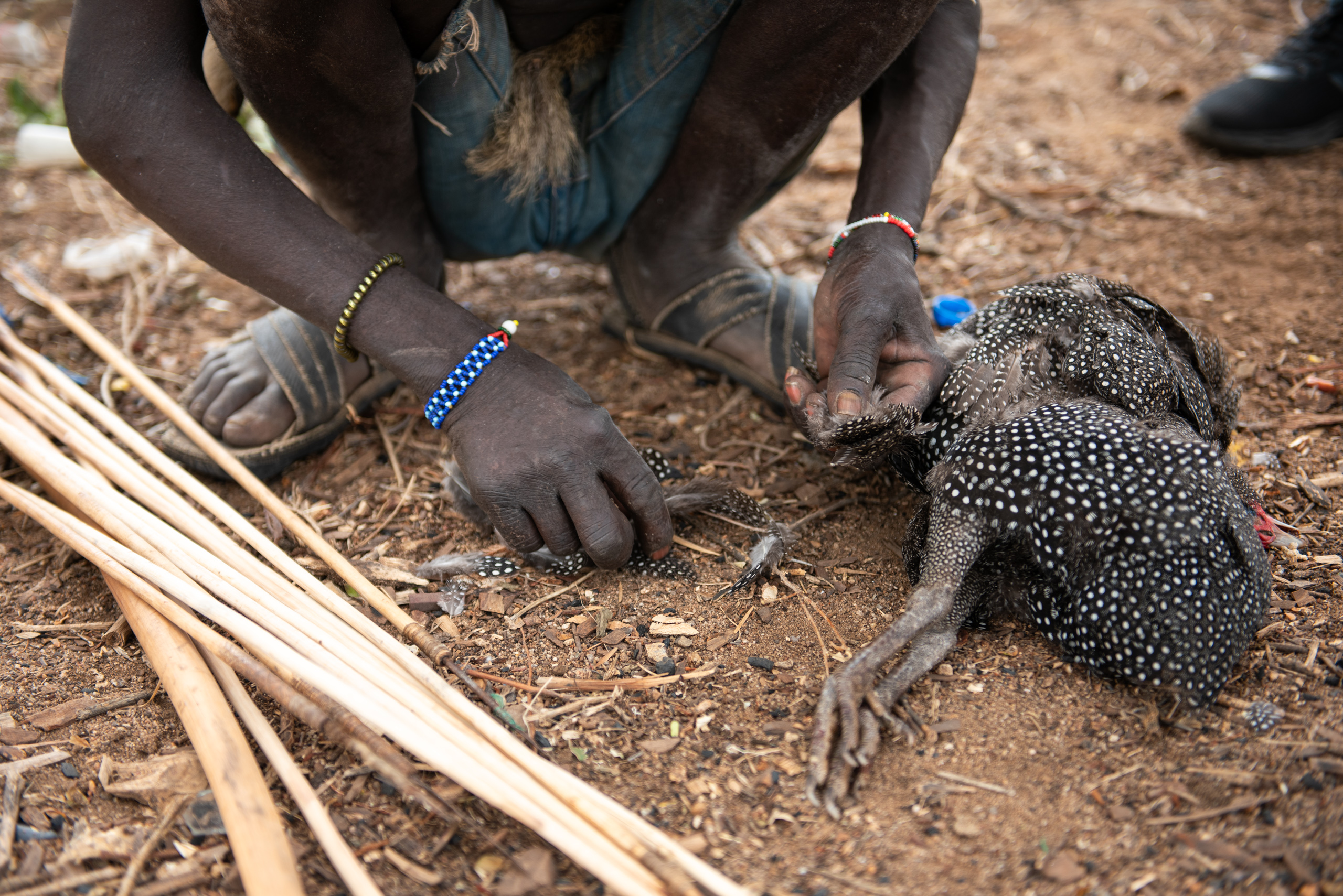 A person wearing beaded bracelets kneels on the ground, plucking feathers from a spotted bird