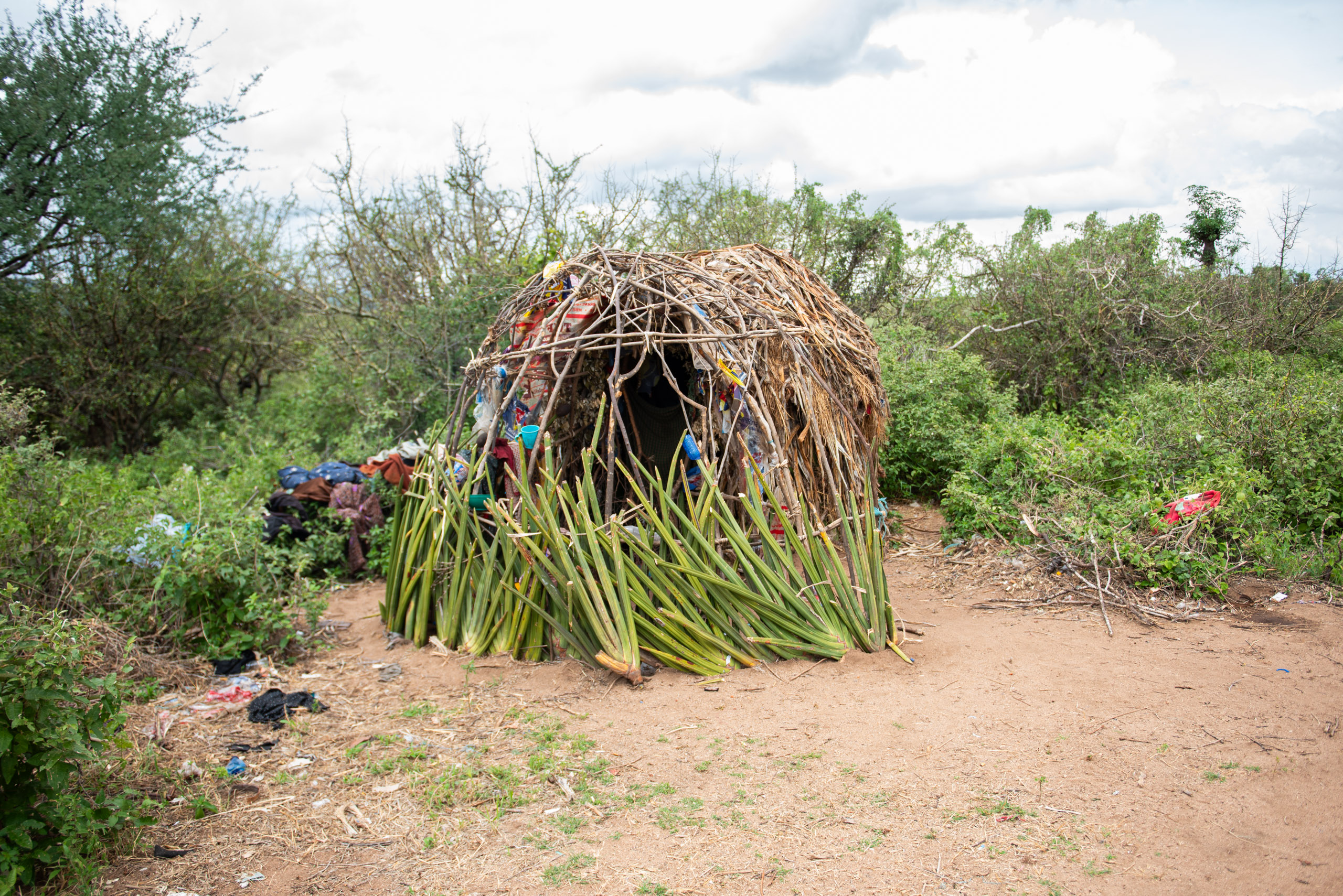 A small, dome-shaped hut made of branches and leaves sits in a lush, green landscape