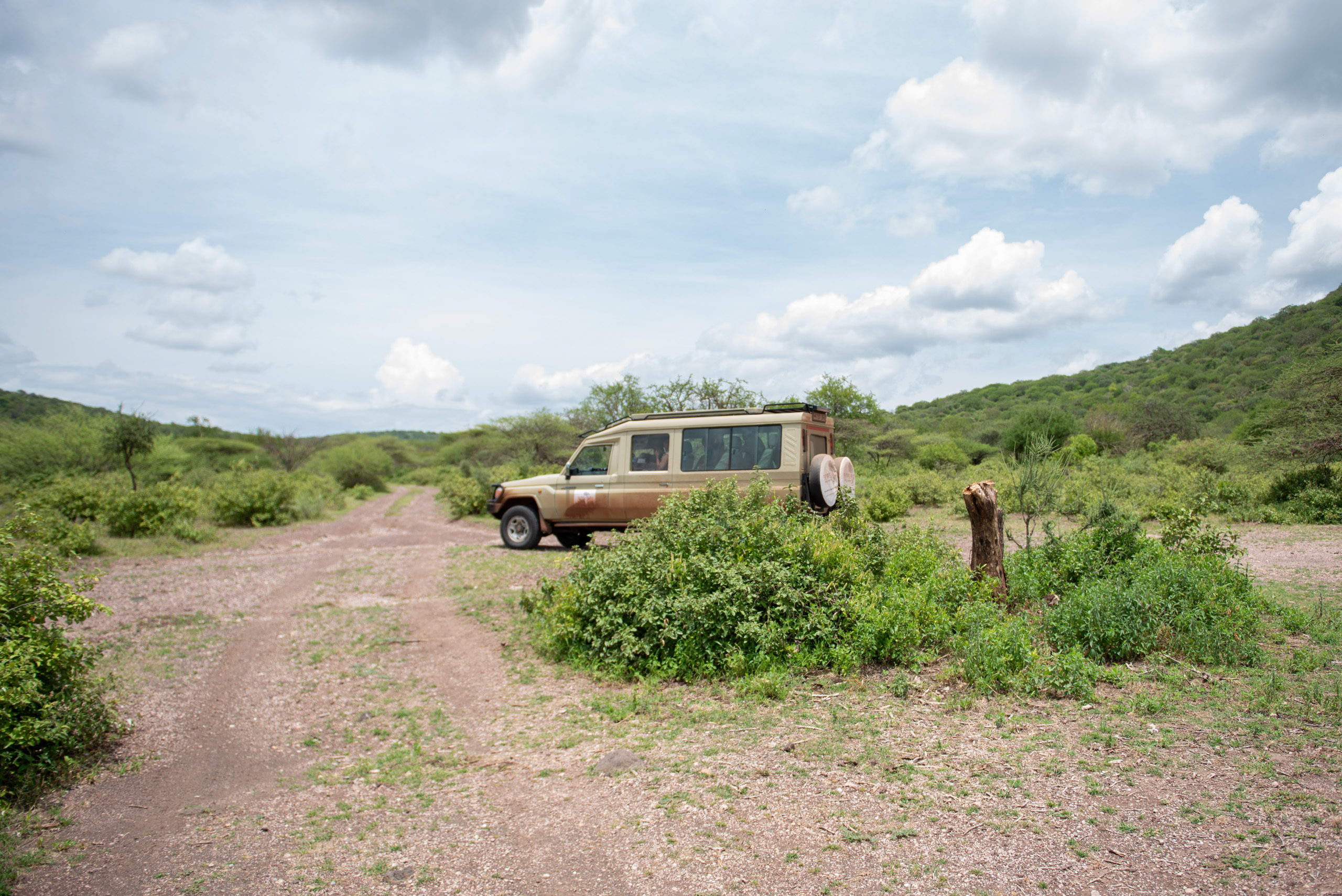 A beige safari vehicle is parked on a dirt road in a lush, green landscape under a cloudy sky