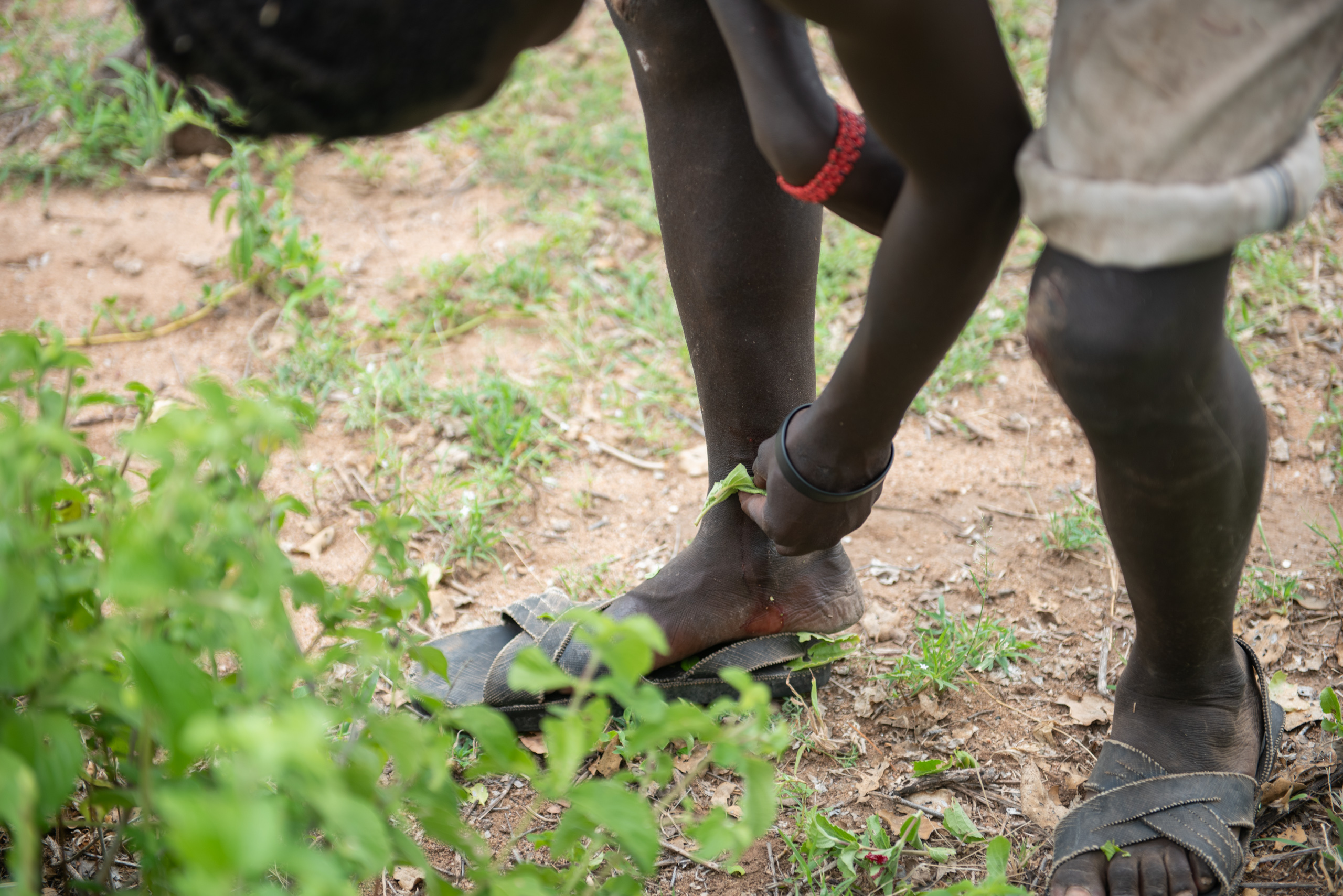 A person in sandals leans down, tending to pick leaves in a grassy area