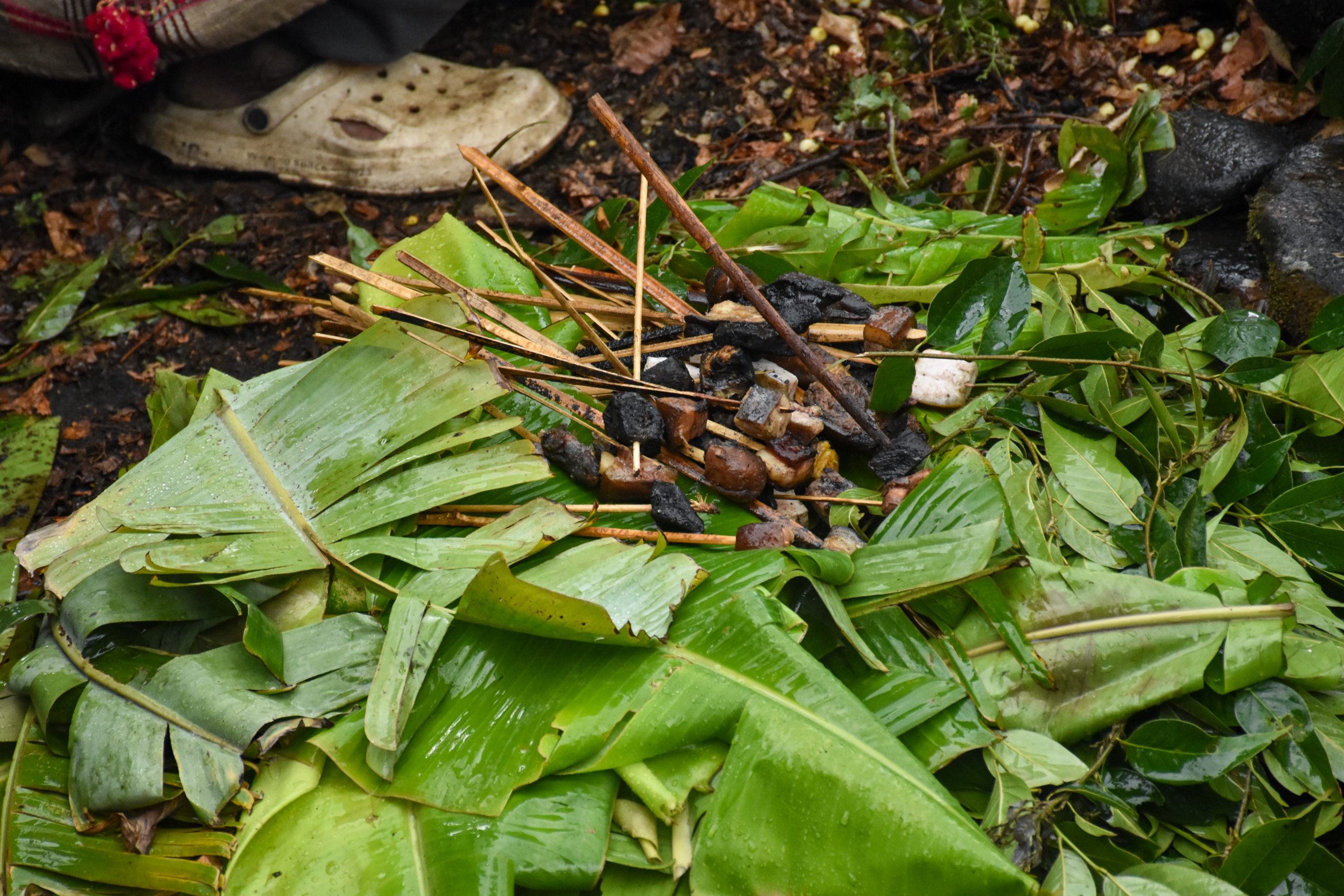 small pieces of pork and sticks on large leaves