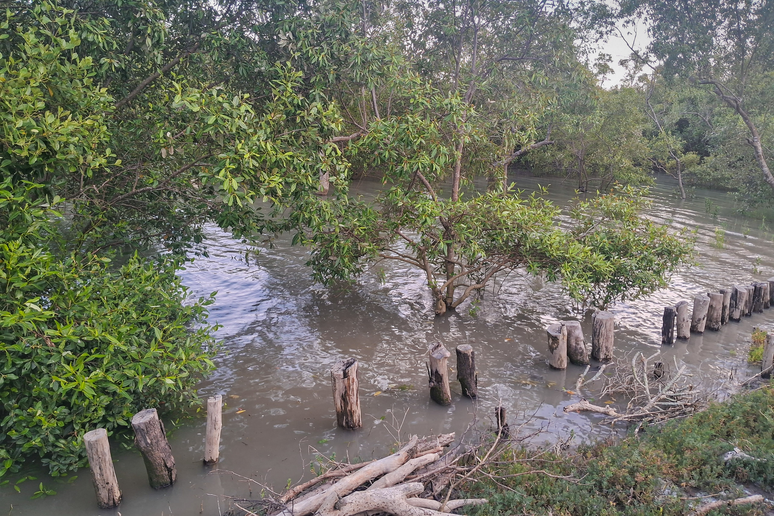 Makeshift embankment built with logs 