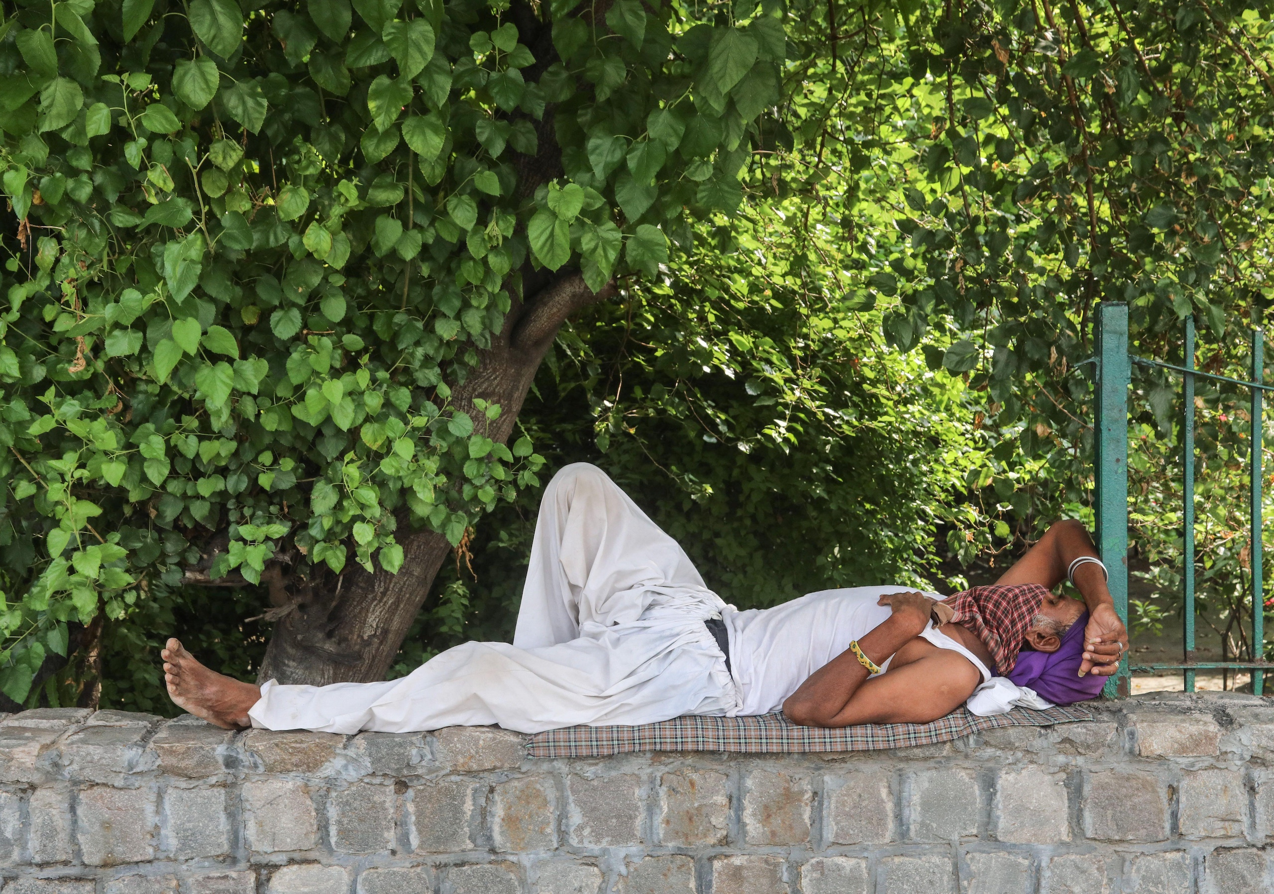 <p class="normal"><span style="color: #767676; background: #FCFCFB;">Un trabajador en Delhi, India, toma una siesta a la sombra durante un día caluroso y húmedo de verano (Imagen: Naveen Sharma / SOPA Images / Sipa US / Alamy)</span></p>