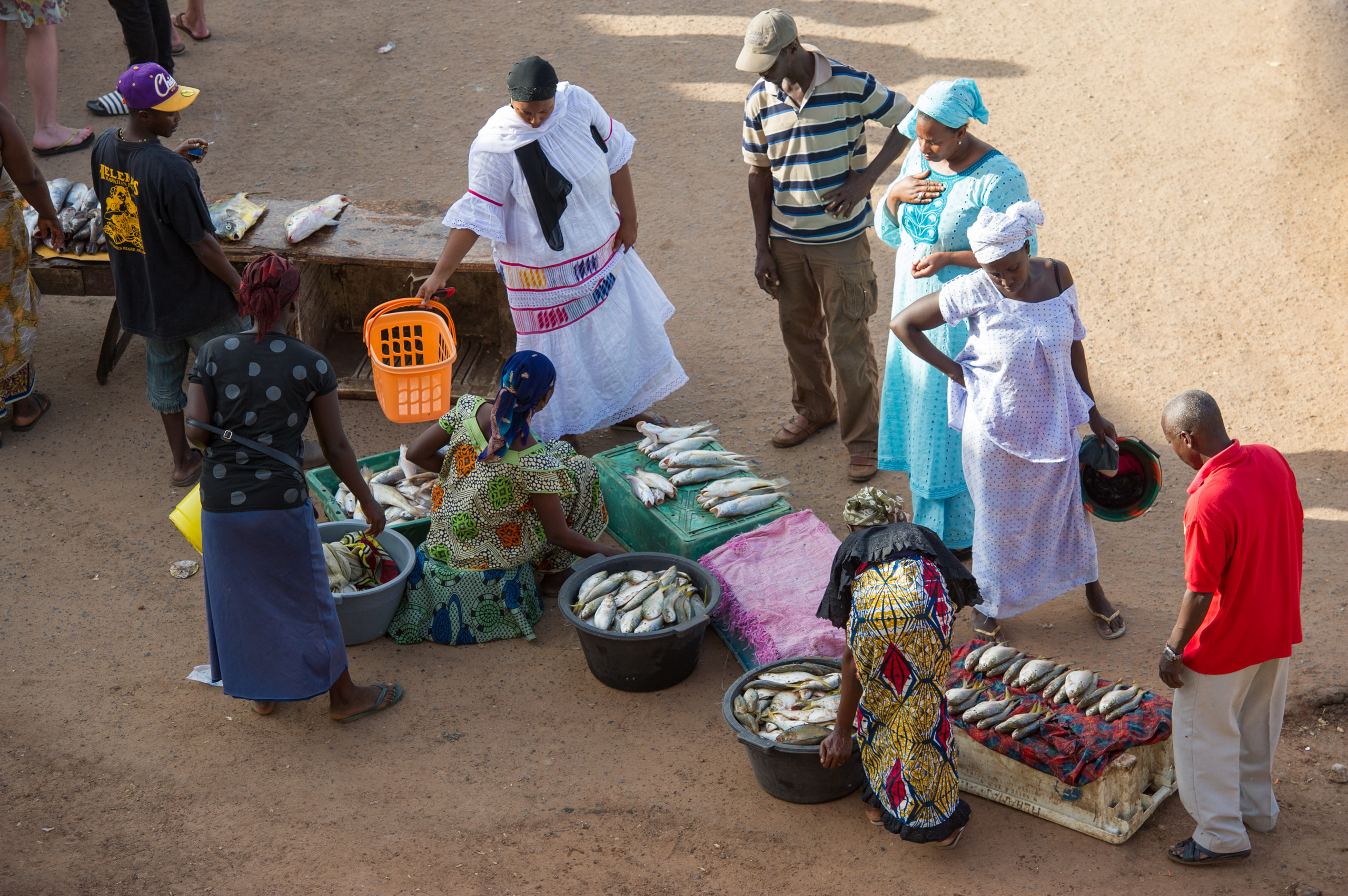 <p>A fish market on the beach in the Gambian town of Bakau, which overlooks the Atlantic. Local activists say the area’s fishmeal industry is driving up prices at markets like this one (Image: Ariadne Van Zandbergen / Alamy)</p>