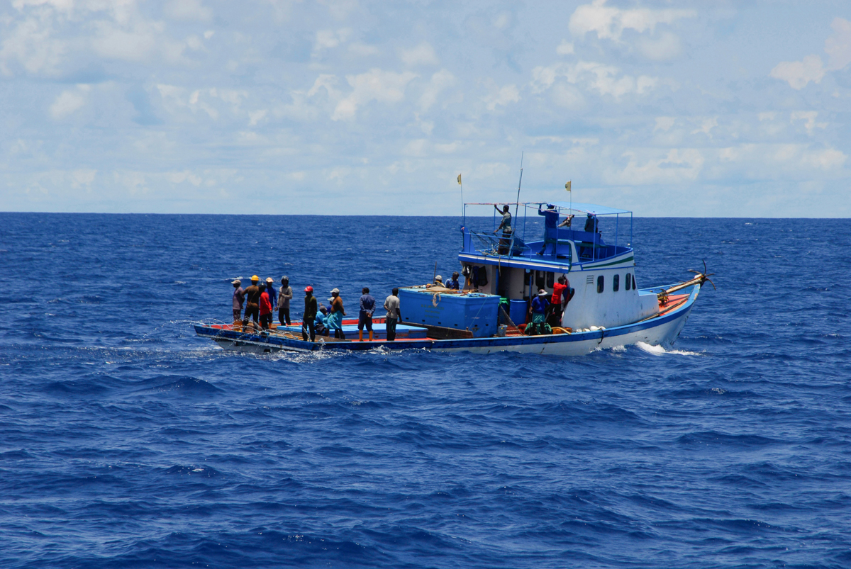 Gulper sharks on the line amid international shark trade debate