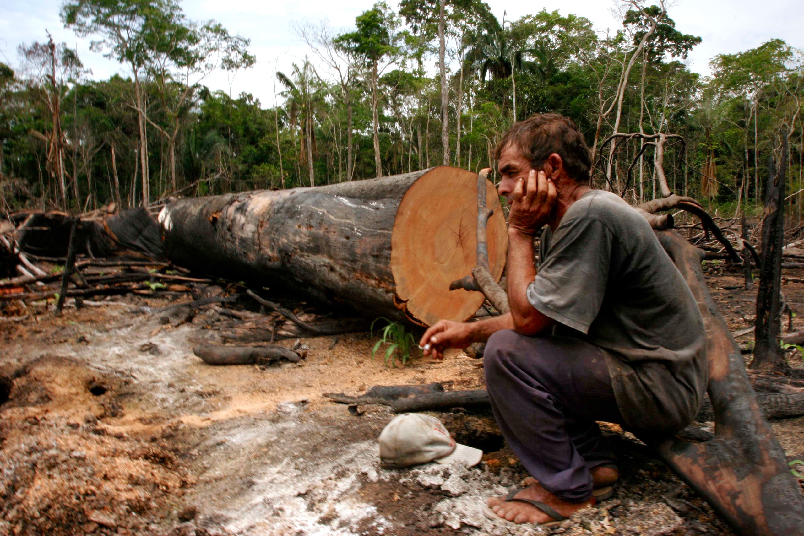 A man sits on the ground beside a large, cut tree trunk in a deforested area