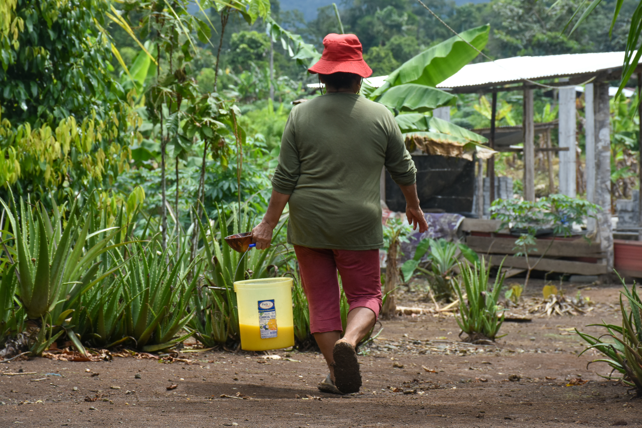 A woman walks along a dirt road, carrying a yellow bucket at her side