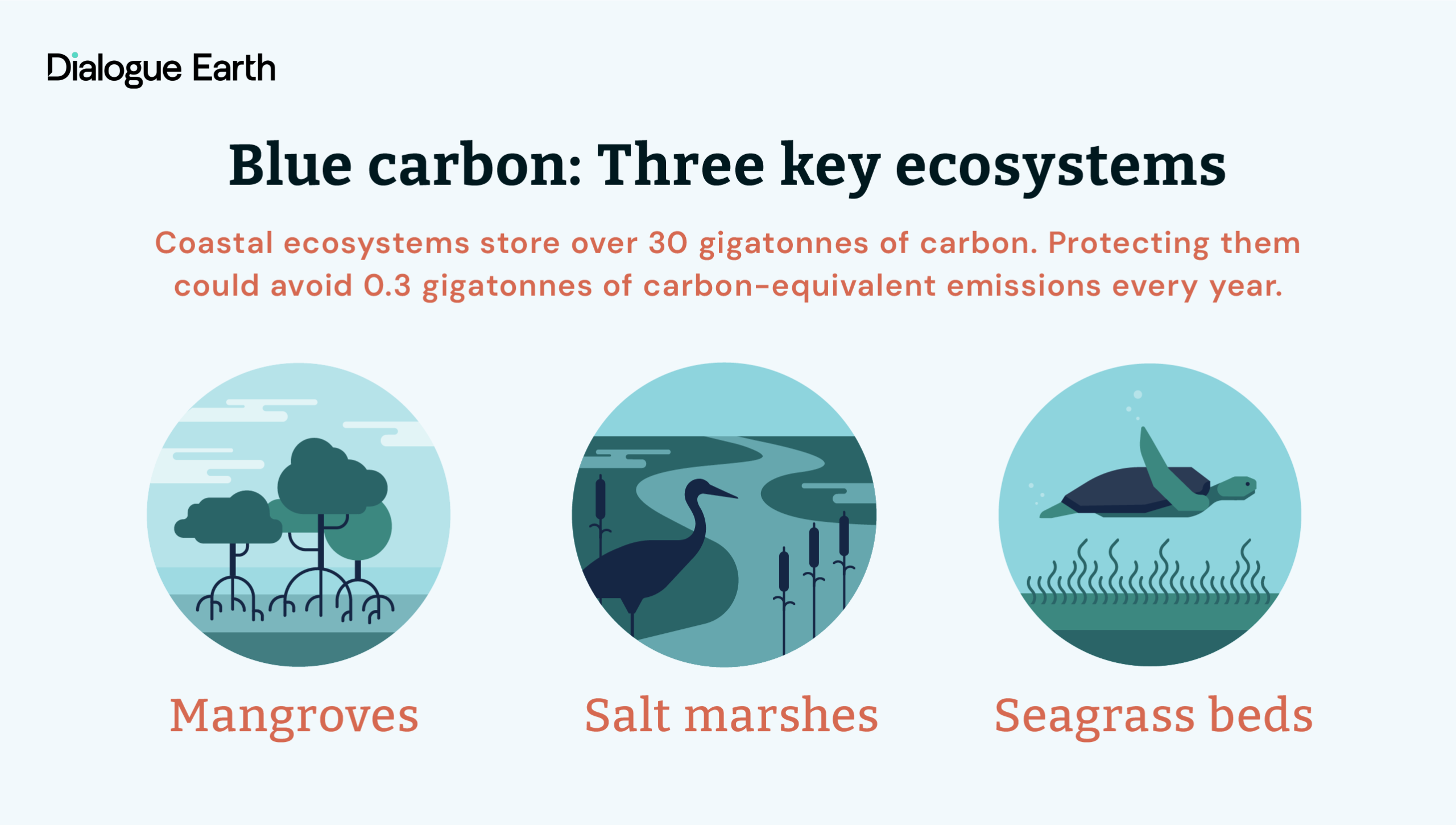 Infographic on blue carbon, featuring mangroves, salt marshes, and seagrass beds, highlighting their carbon storage and climate benefits.