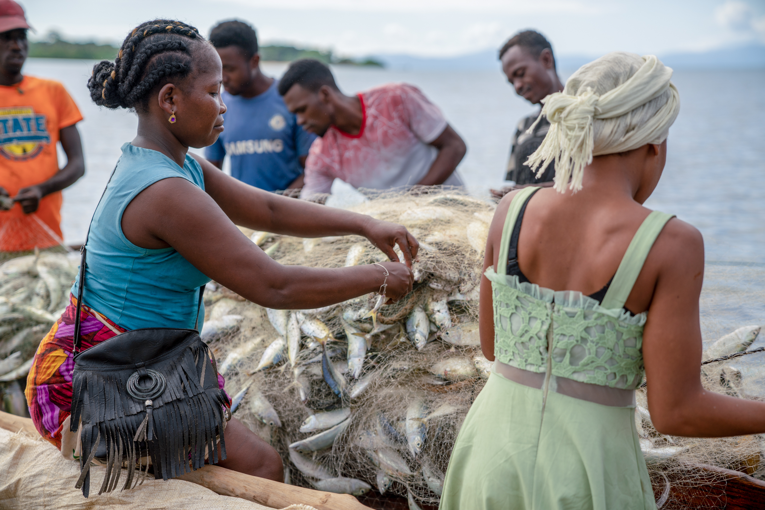 A group of individuals work together in the sea, sorting fish from nets