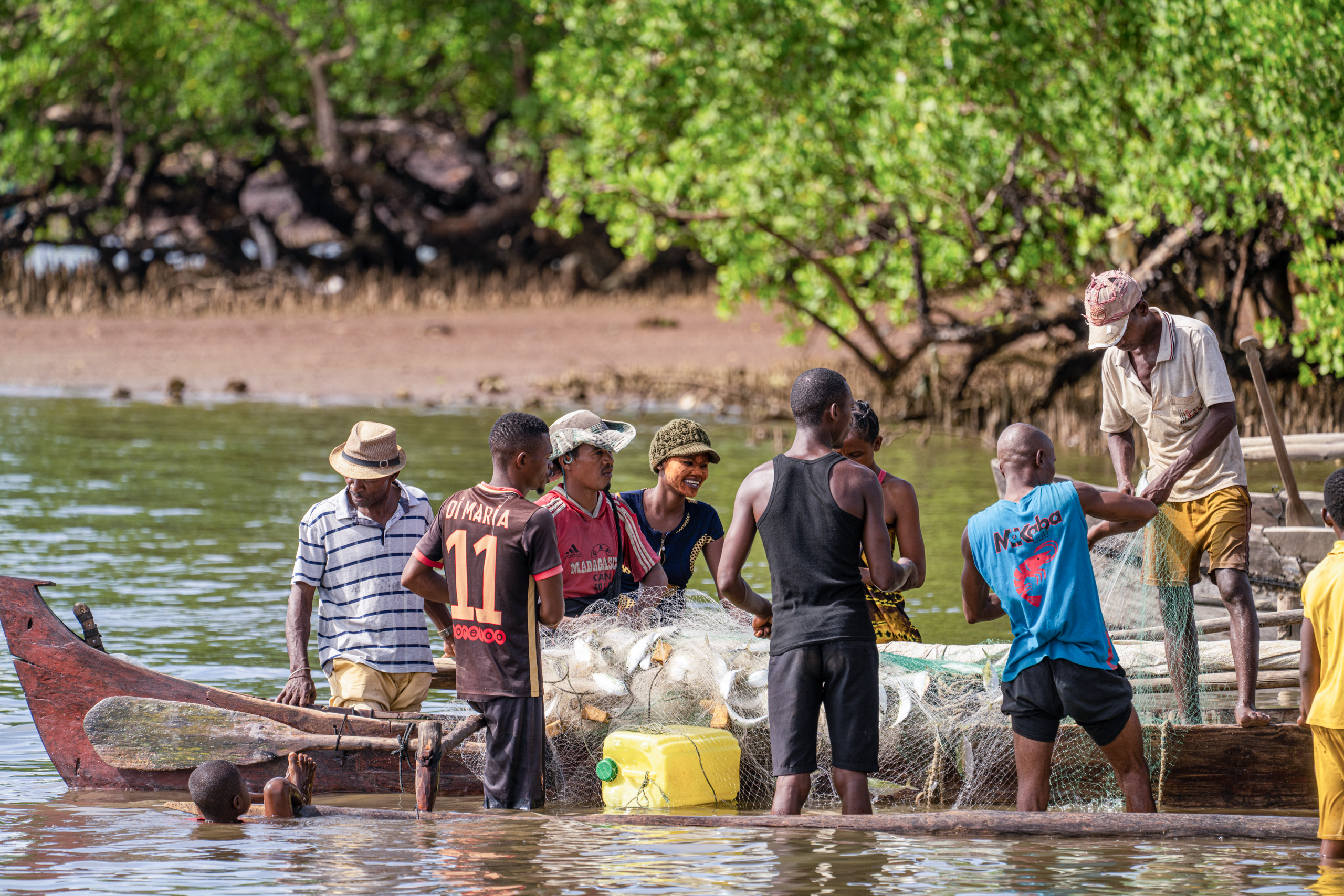 A group of people work together on a wooden boat, pulling in a fishing net surrounded by mangroves along the water's edge