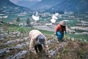 Two farmers harvest crops on a hillside, with green terraced fields and steam rising from a geothermal plant in the background.