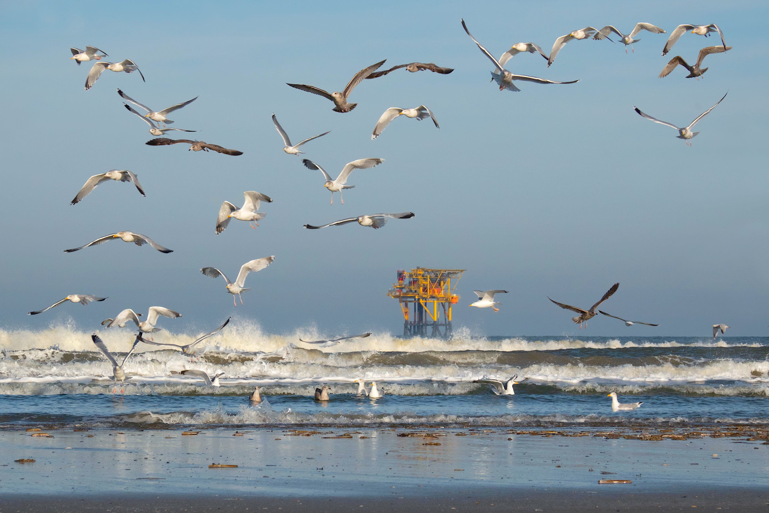 <p>An offshore natural gas production platform near the Dutch island of Ameland. Activists and researchers say countries’ recently submitted climate plans lack concrete ocean-based goals such as halting new offshore extractions (Image: Matthijs Wetterauw / Alamy)</p>