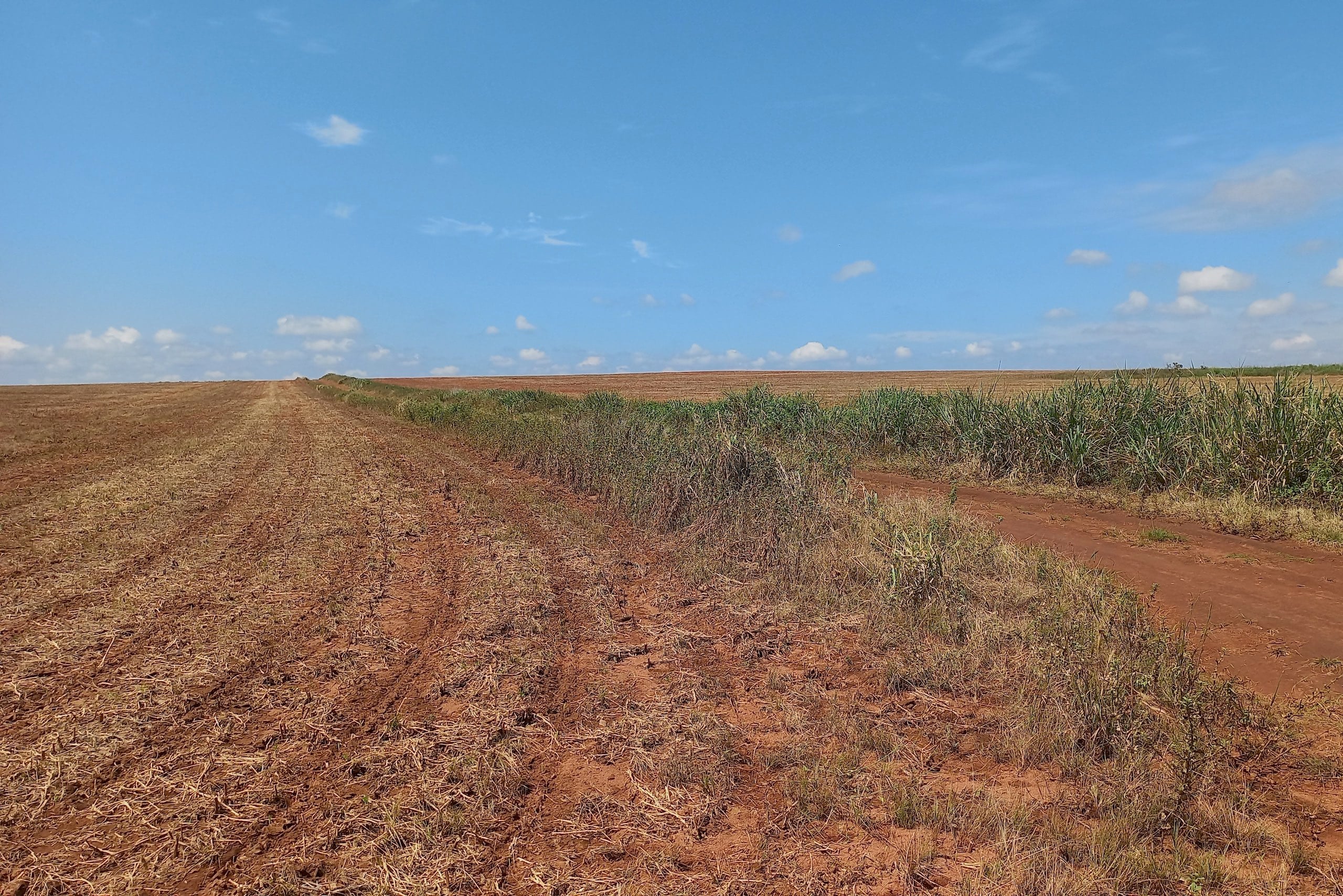 Área de cultivo em Puerto Gaitán