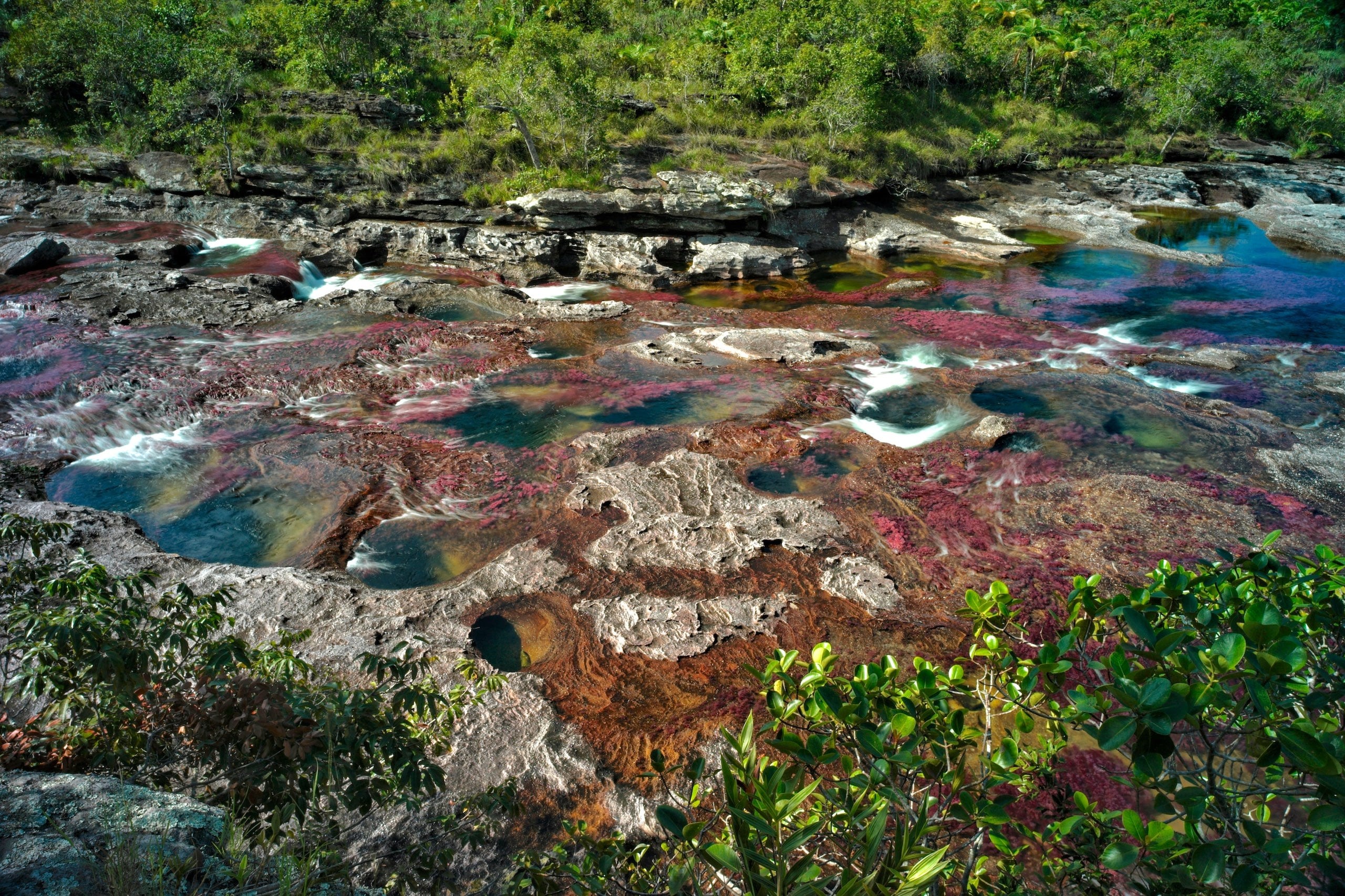 Rio Caño Cristales, no departamento de Meta, Colômbia. Para moradores da região e ex-funcionários da Aliar, a poluição dos rios está fortemente ligada à falta de tratamento de resíduos e esgoto da empresa (Imagem: Kike Calvo / Alamy)