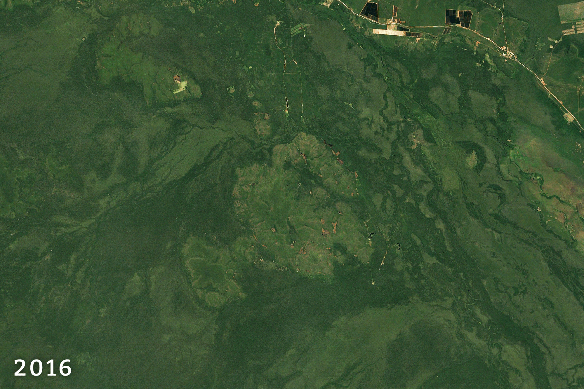 Estradas e assentamentos ilegais nos limites da área de conservação Ñembi Guasu