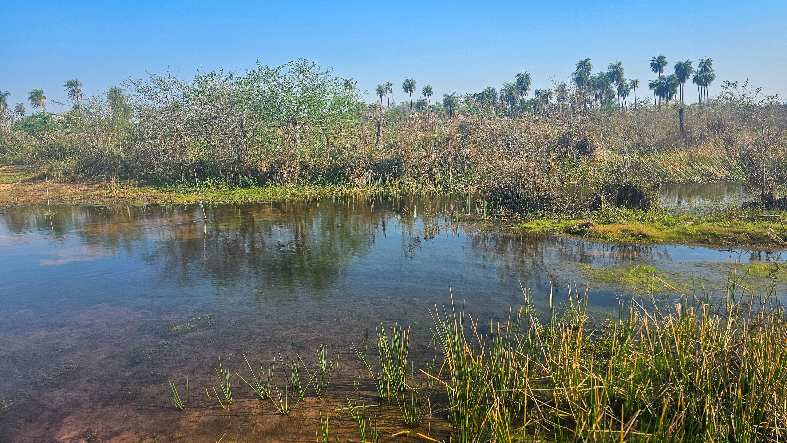 río y zona ribereña