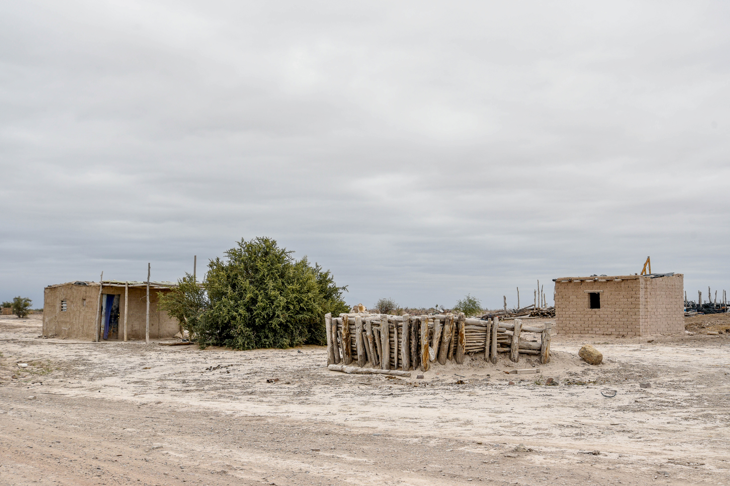 A rural road lined with several huts and trees