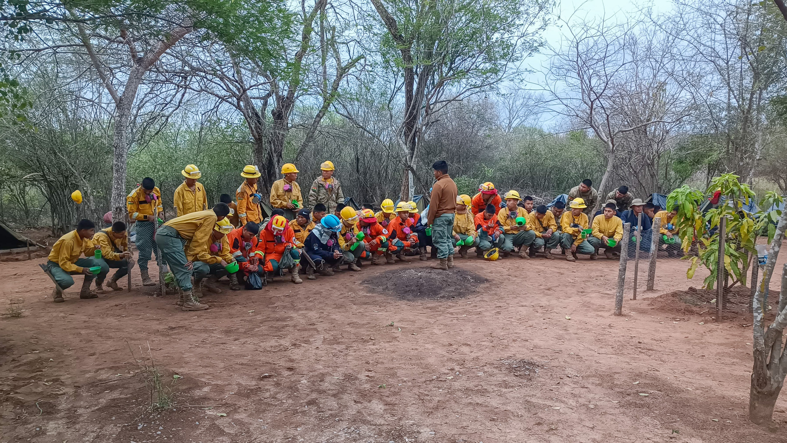 Fila de bomberos en cuclillas y de pie en una zona boscosa