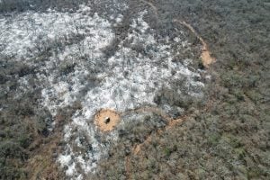 aerial view of ash after forest fire