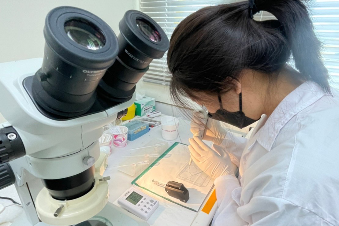 scientist at desk observing work