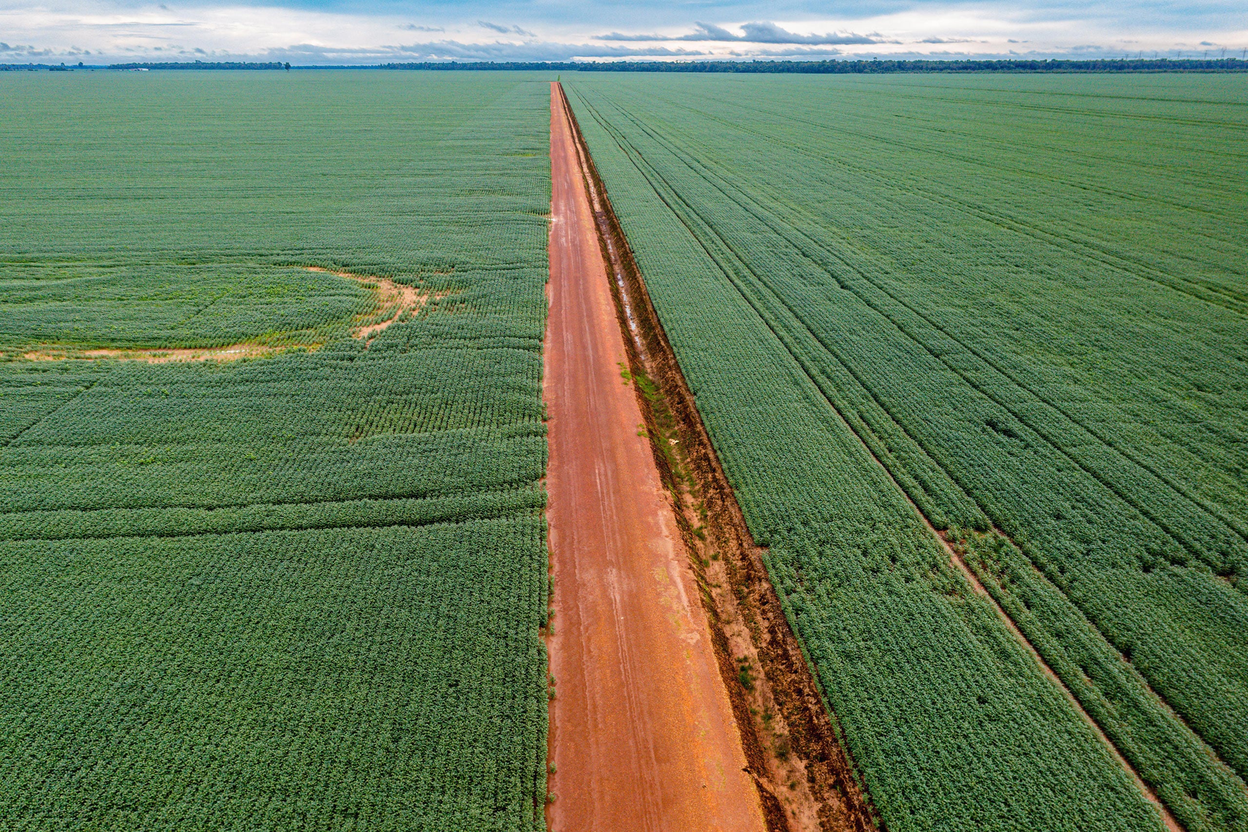 Vista aérea de un largo camino de tierra roja que atraviesa campos verdes bajo un cielo nublado