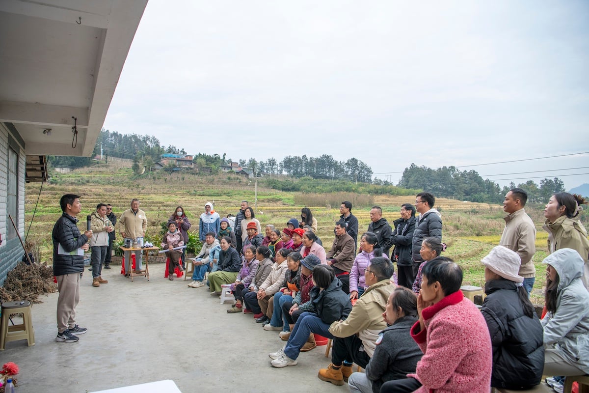 How is the Chinese public engaging in climate adaptation?