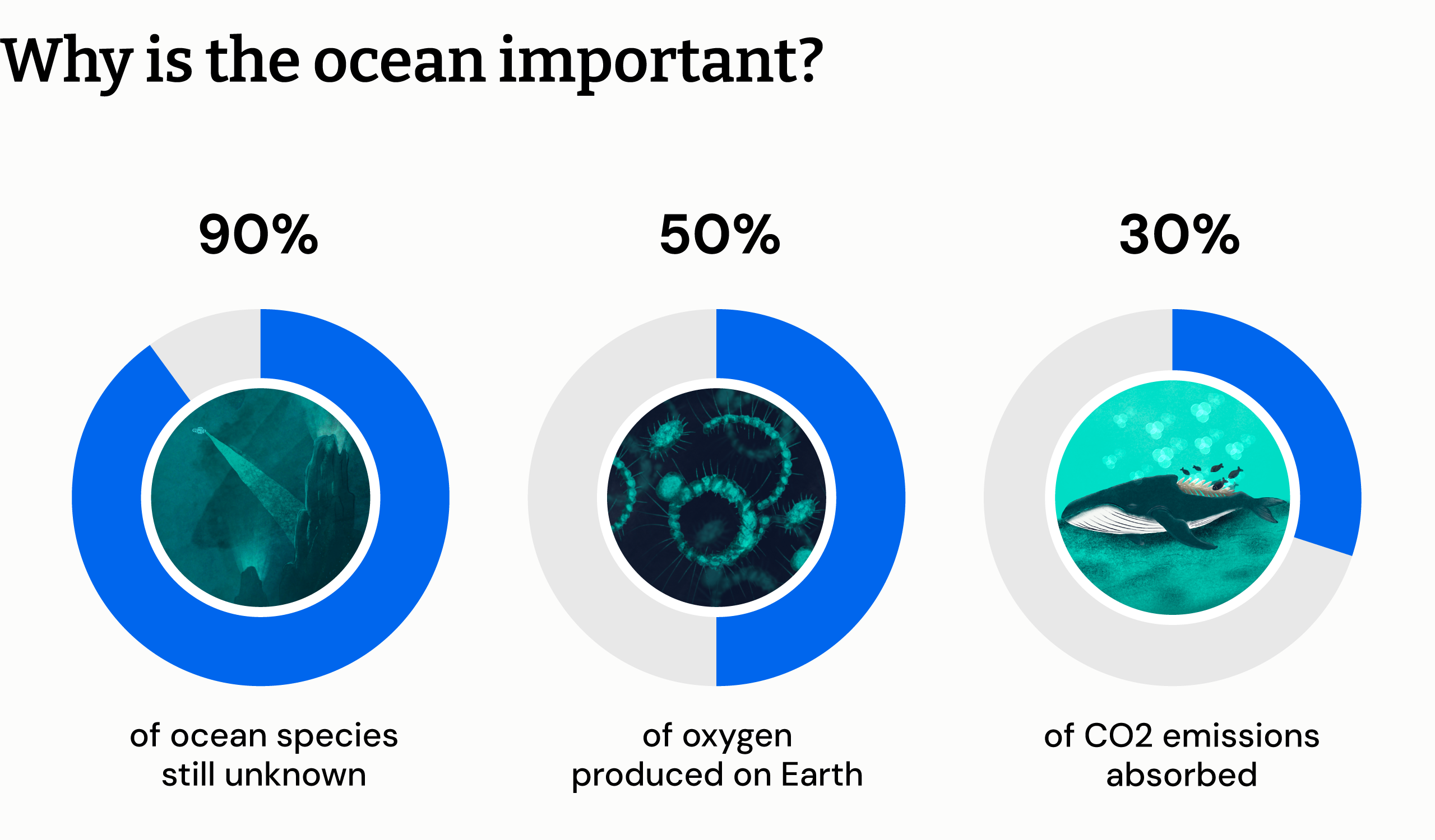 Infographic showing ocean importance
