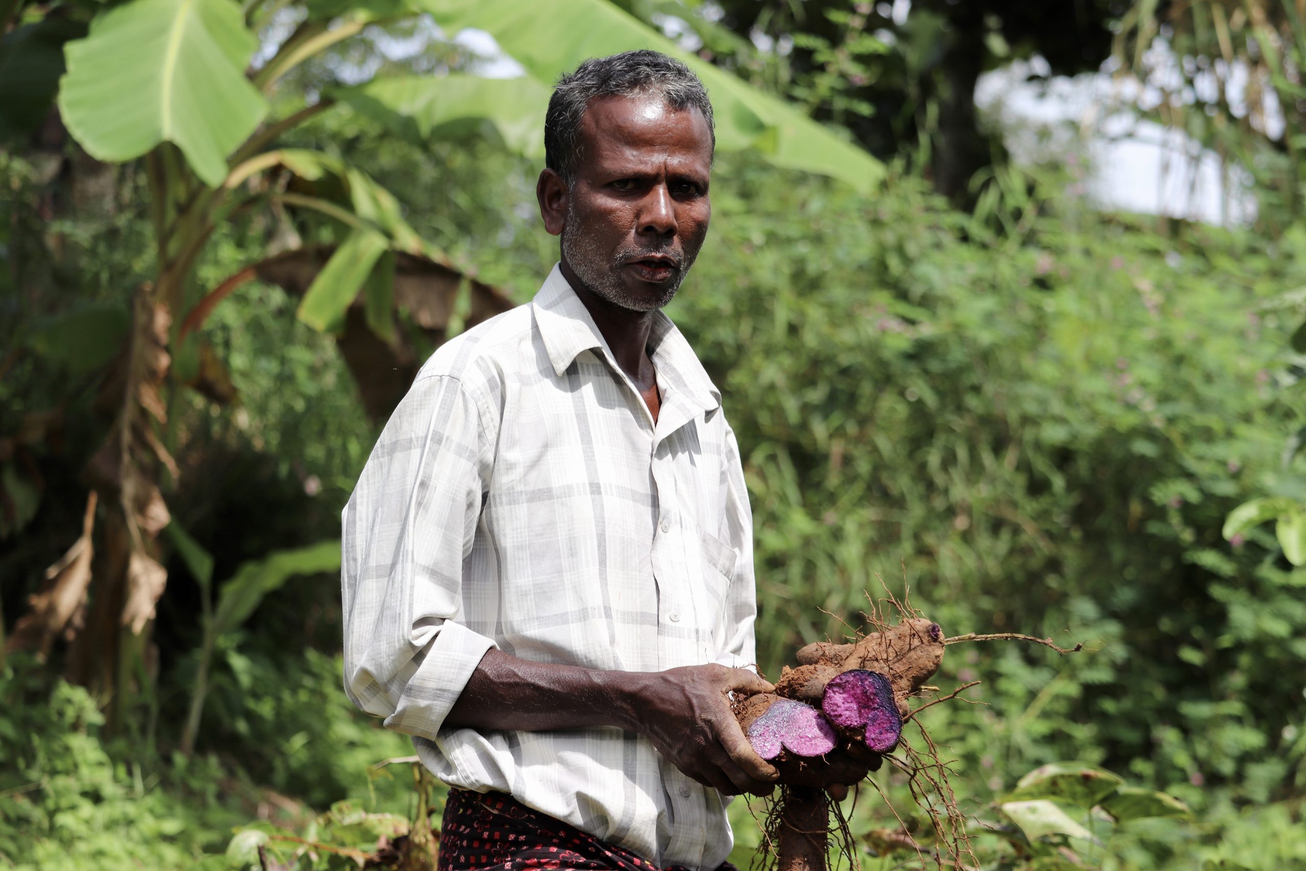 man holding purple yam 