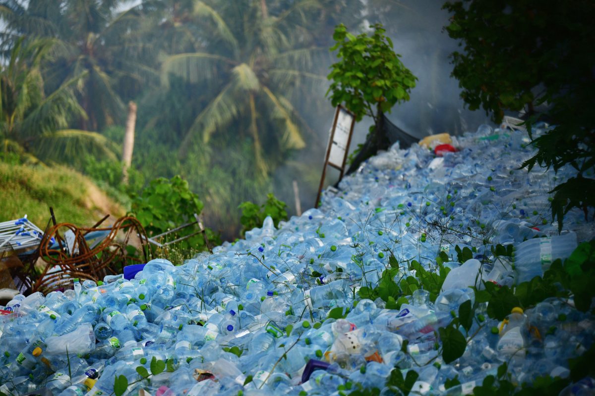 Could voting break the plastics treaty deadlock?