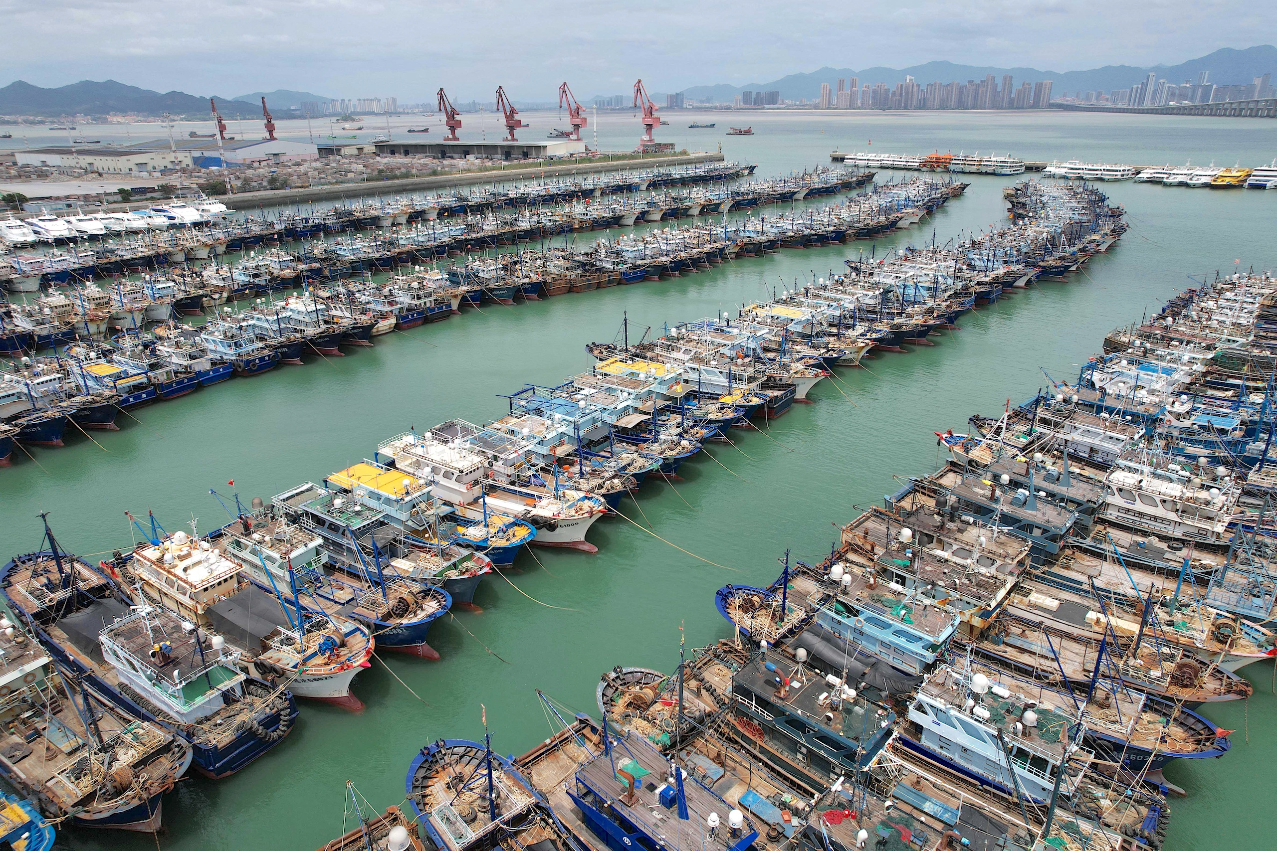 <p>Fishing boats docked in Xiamen, south-east China. This city in Fujian province could become the permanent home for the secretariat of the High Seas Treaty, pending a decision due later this year (Image: Zeng Demeng / Xinhua / Alamy)</p>
