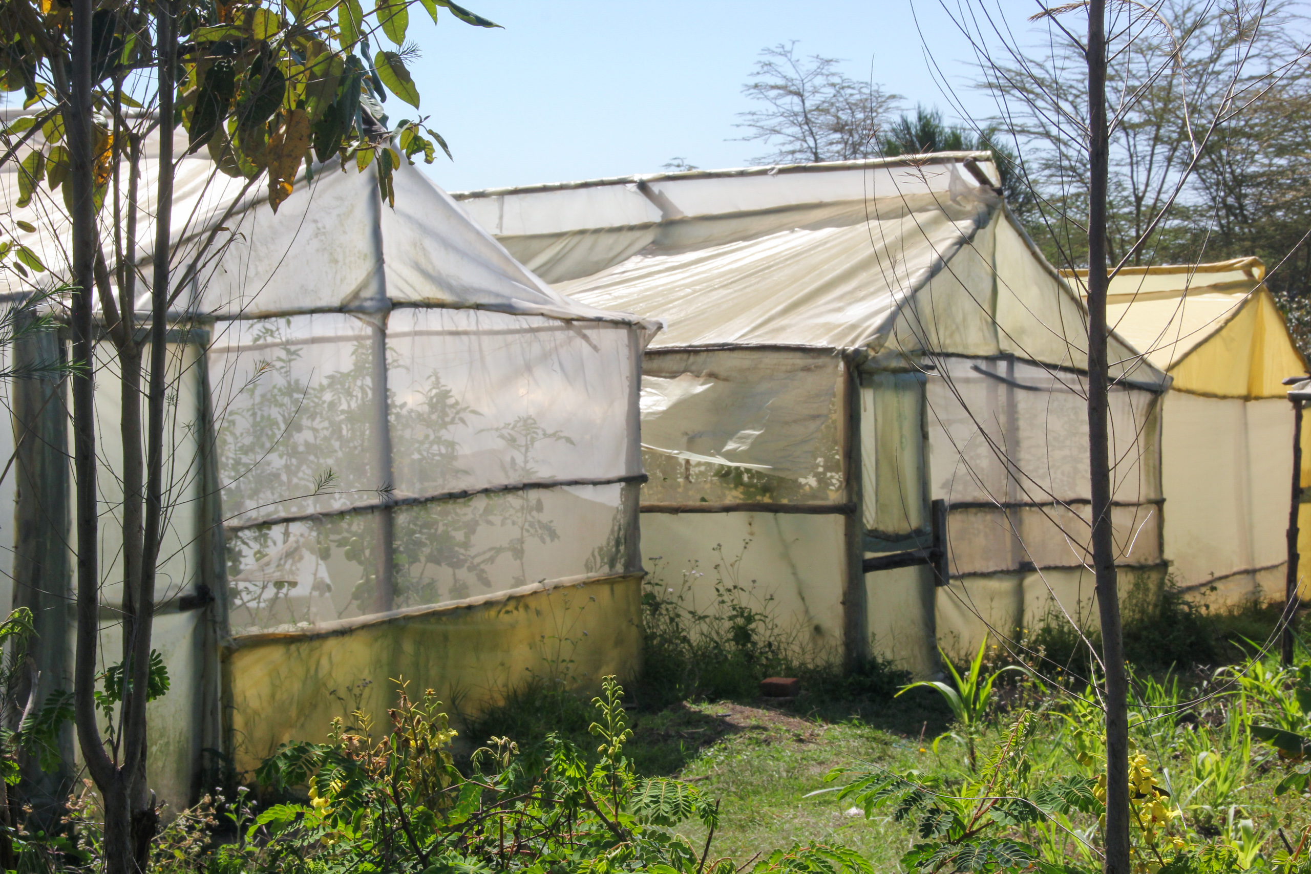 row of greenhouses