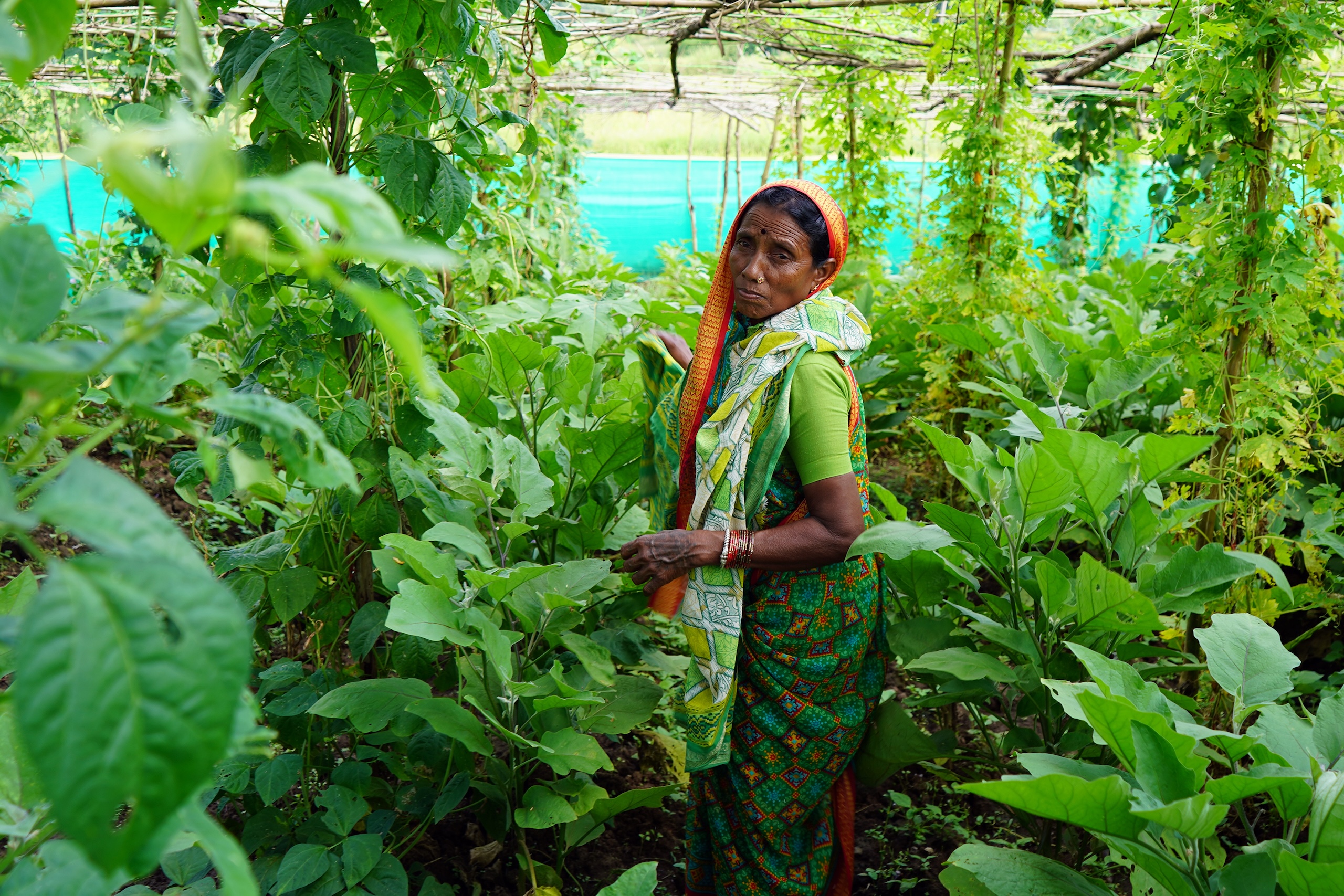 woman standing among tall plants