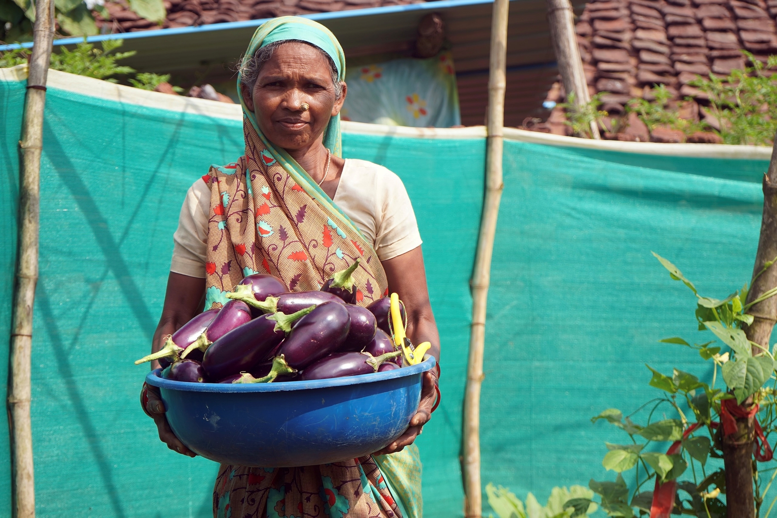 woman holding basin of aubergines