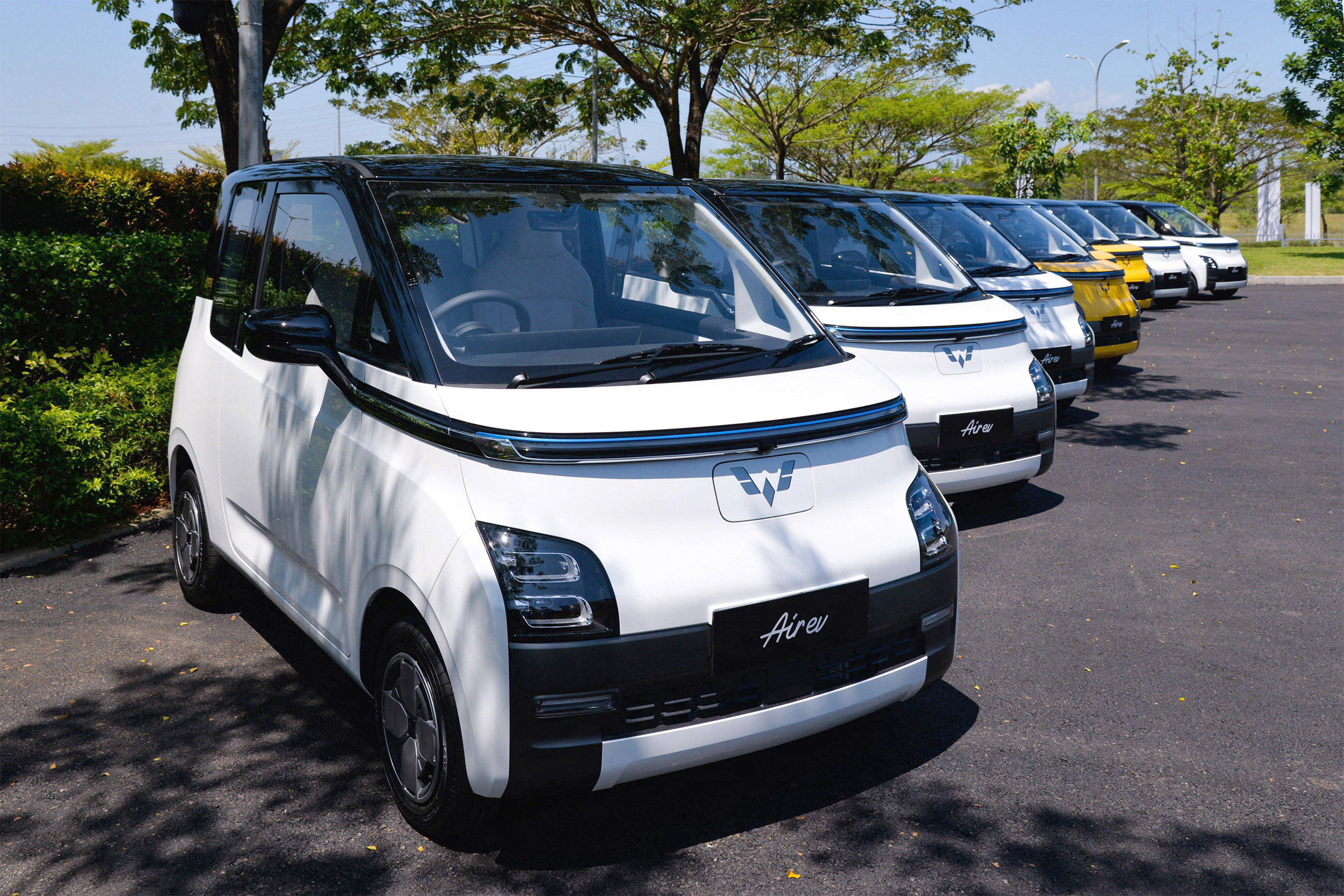 row of parked electric vehicles