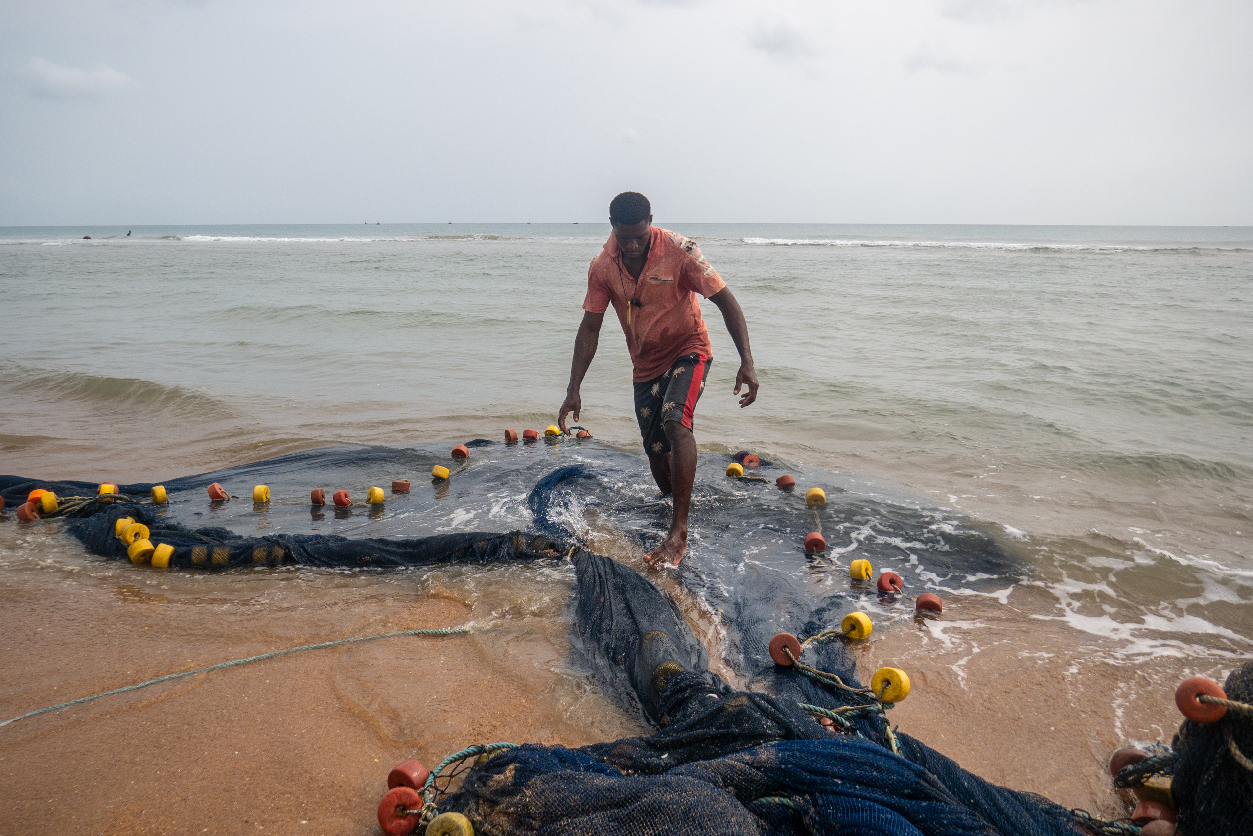 man checking a beach seine net