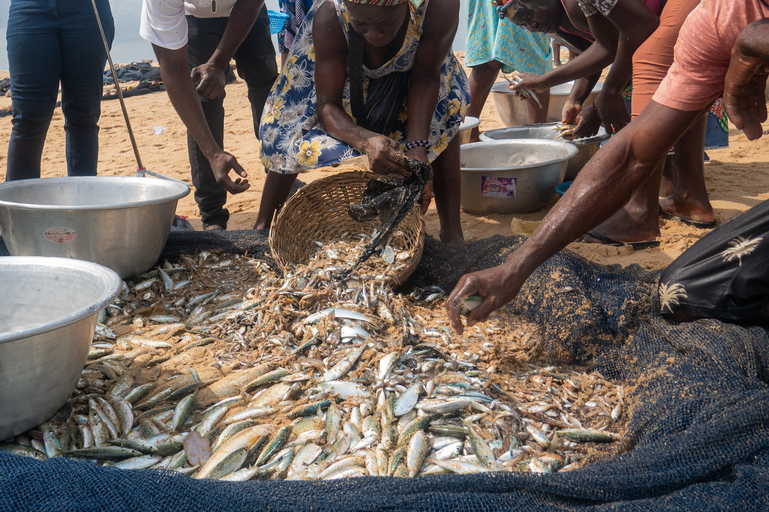 People on a beach gathered round a catch in a net sorting the fish