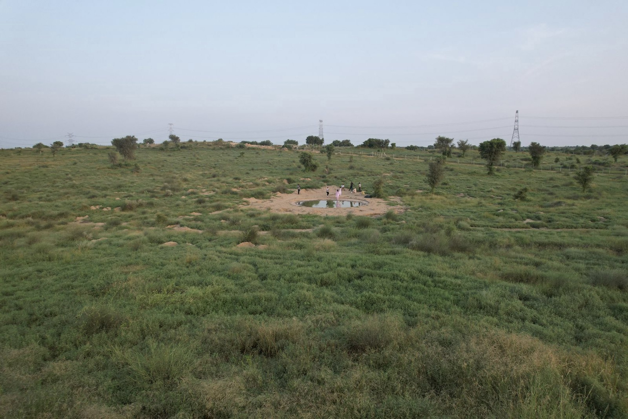 Aerial view of green grassland with a small, circular waterhole at the centre