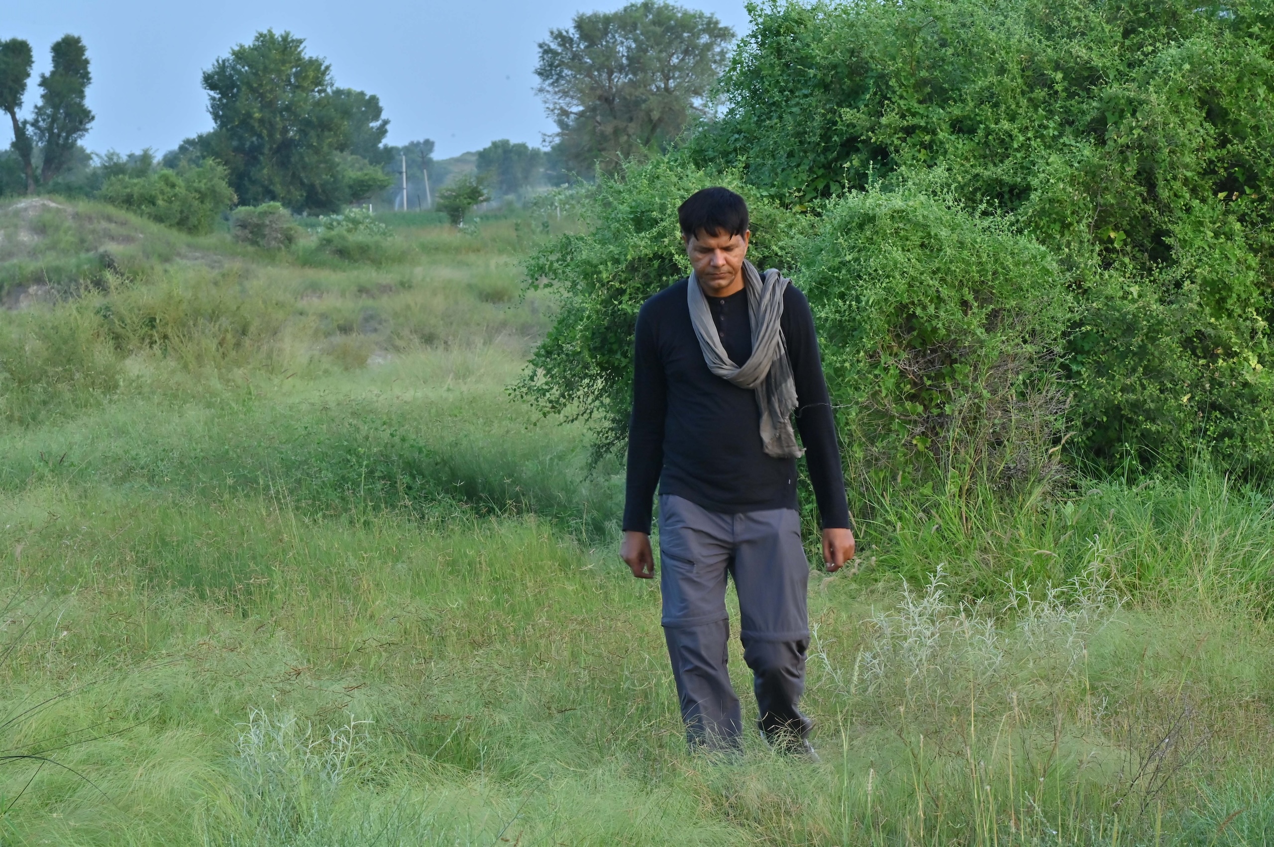 A man in a black shirt and gray pants walks through a lush green field