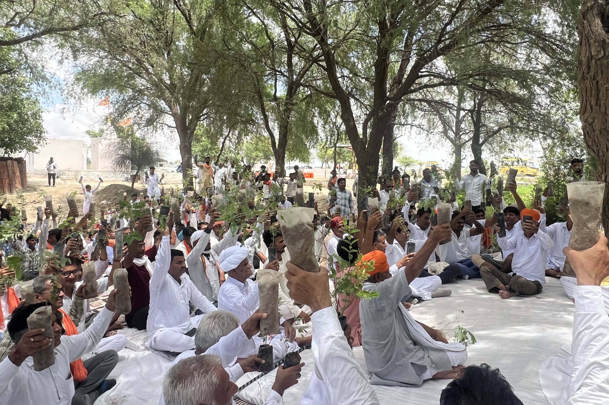 A large group of people in traditional white attire and colorful turbans sit outdoors on mats, holding small plants aloft