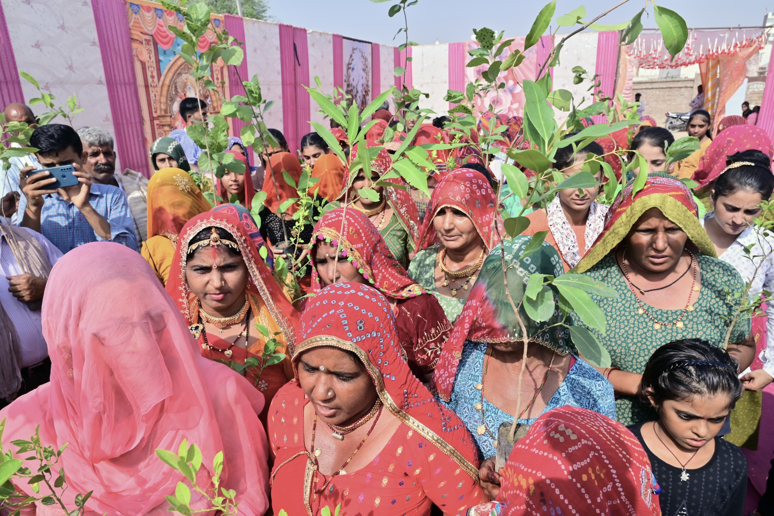 A group of women dressed in vibrant, traditional Indian attire, holding saplings in an outdoor gathering
