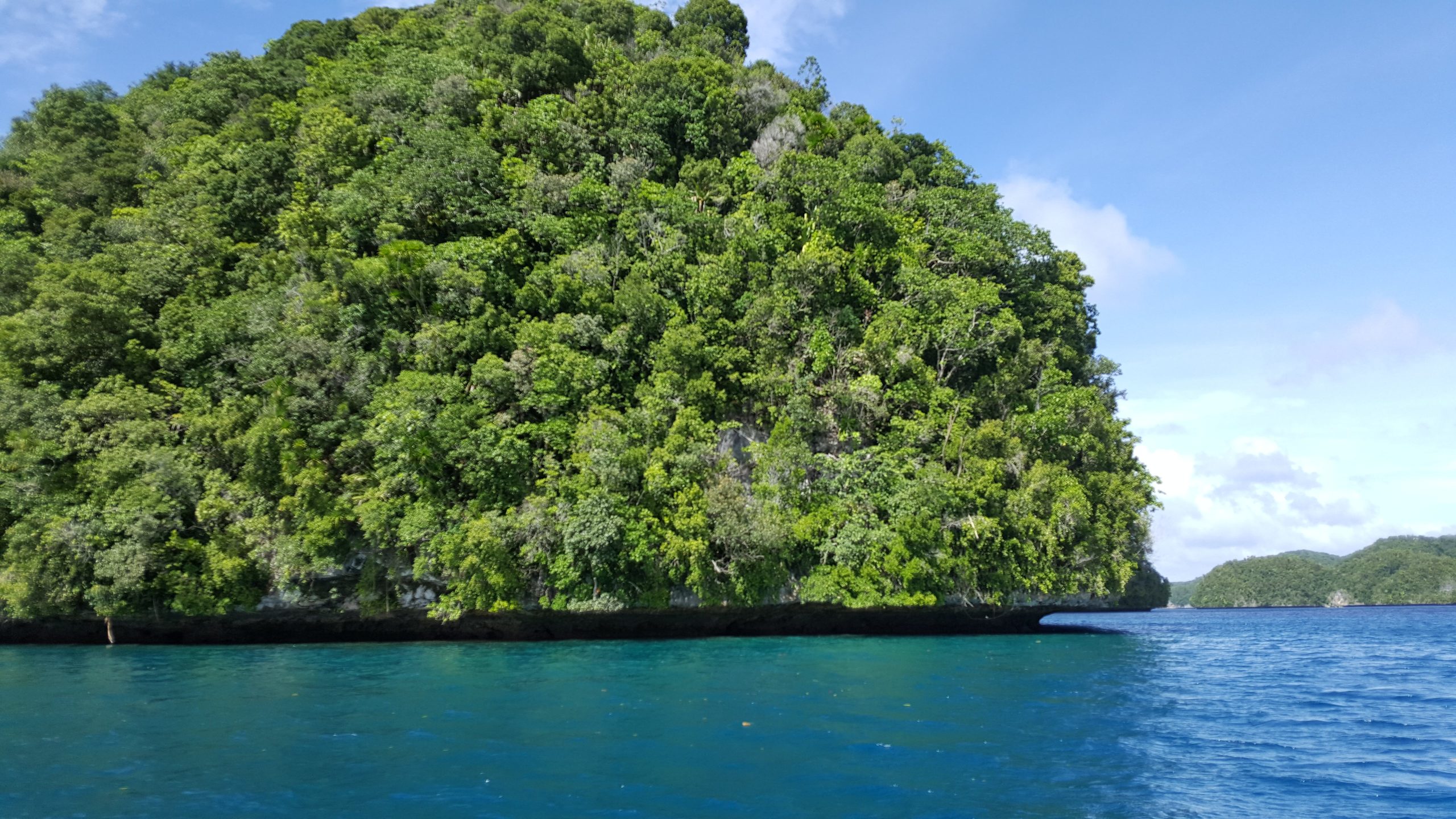 <p>Countries on the frontlines of the global ocean crisis, such as Palau, need high seas treaty financing that is accessible and adequate from day one (Image: <a href="https://flic.kr/p/2iSrdKT">The Reef-World Foundation</a> / <a href="https://www.flickr.com/photos/reef-world/">Flickr</a>, CC BY-NC-ND)</p>