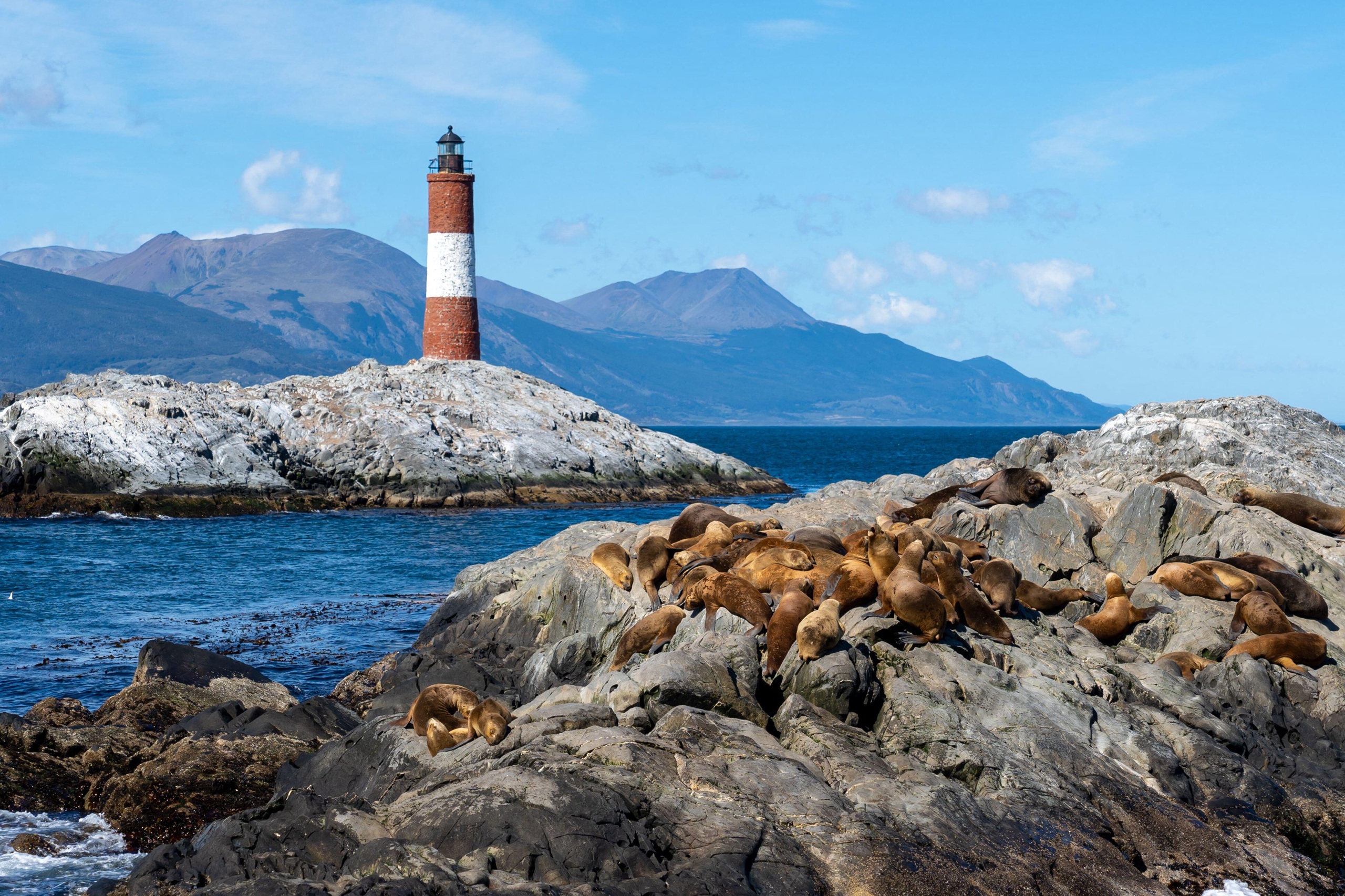 <p>Sea lions rest on rocks in the Beagle Channel, Tierra del Fuego, at the southern tip of Argentina in Patagonia. In December, industrial salmon farming was legalised everywhere in the province except this channel (Image: JHVEPhoto / Alamy)</p>
