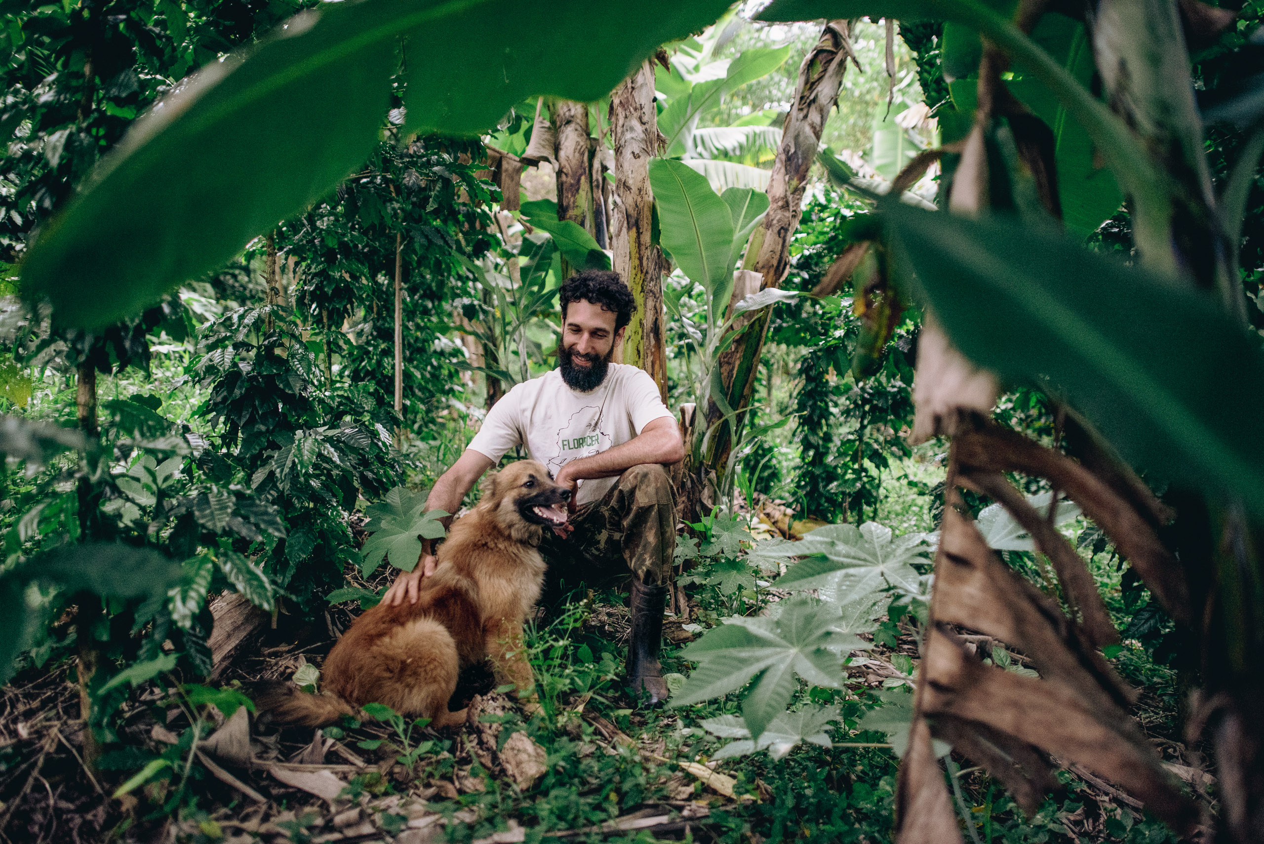 Rafael Furtado adotou sistemas agroflorestais em sua fazenda de café em Poço Fundo