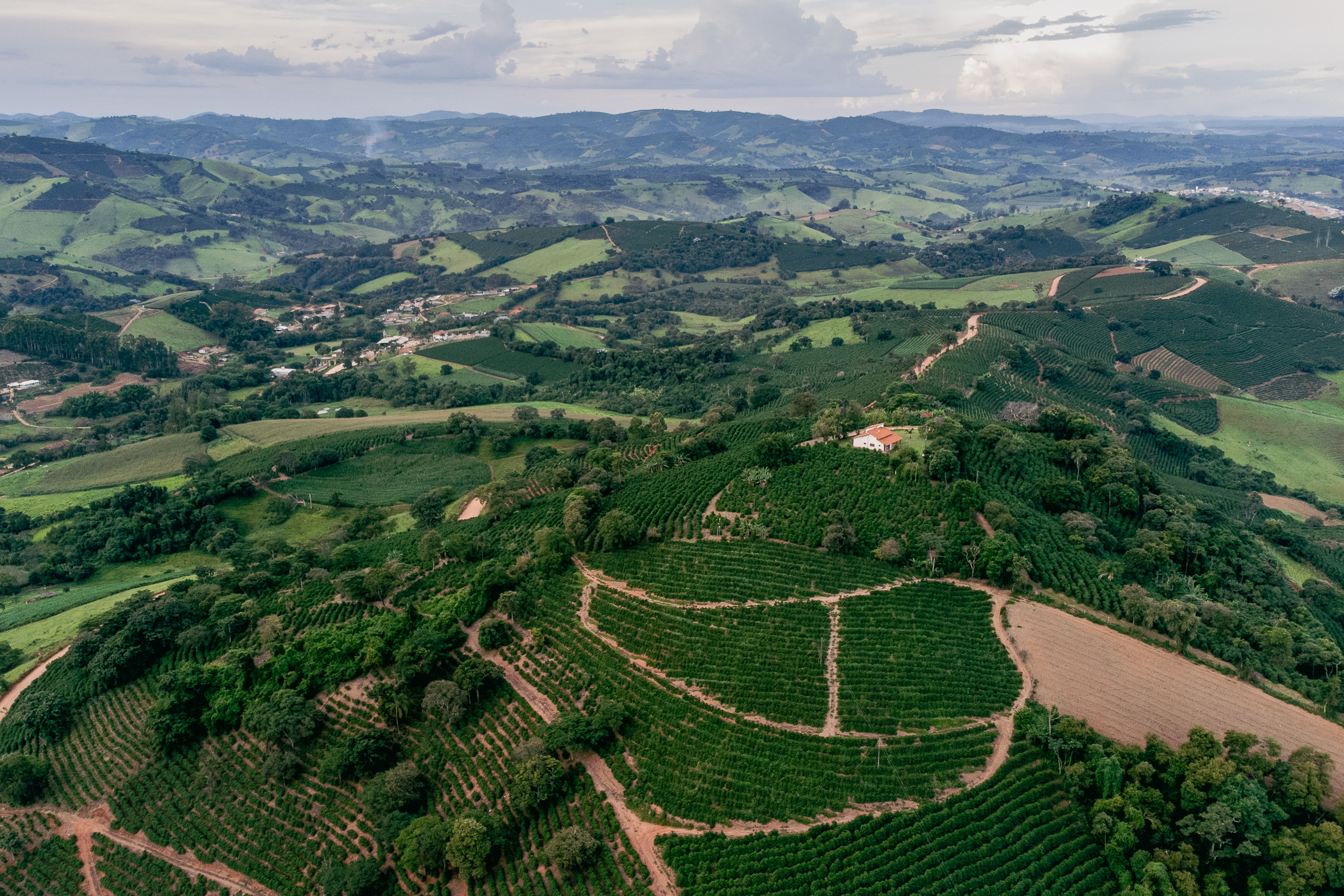 Aerial view of green hills dotted with cultivated fields and a small house