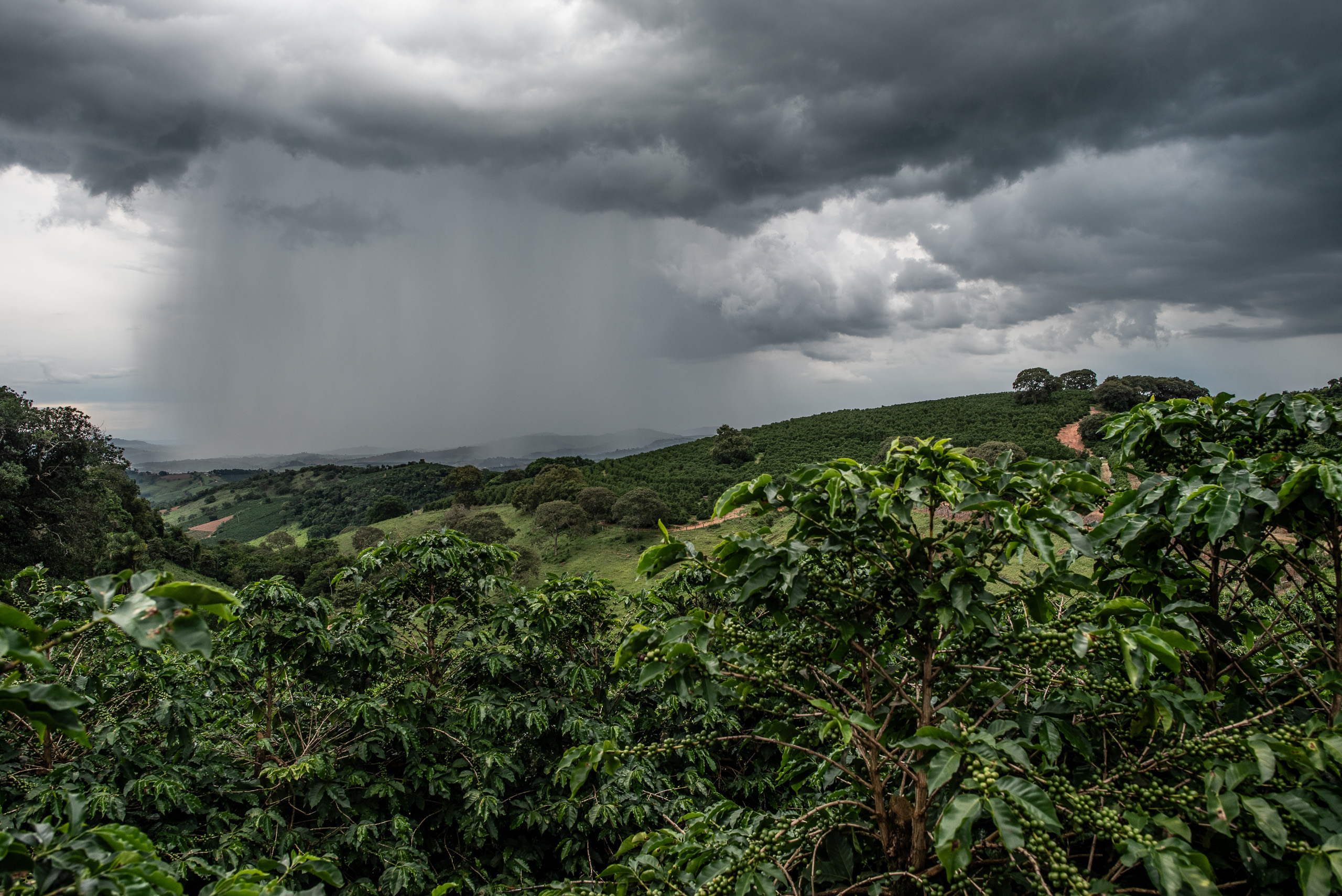 Dark storm clouds loom over a hilly landscape with heavy rain visible in the distance