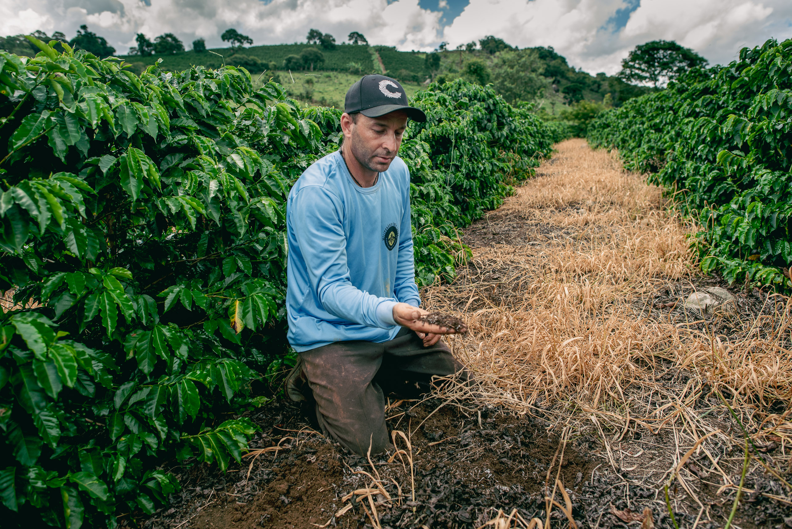 Solo do cultivo de café de Douglas Lago